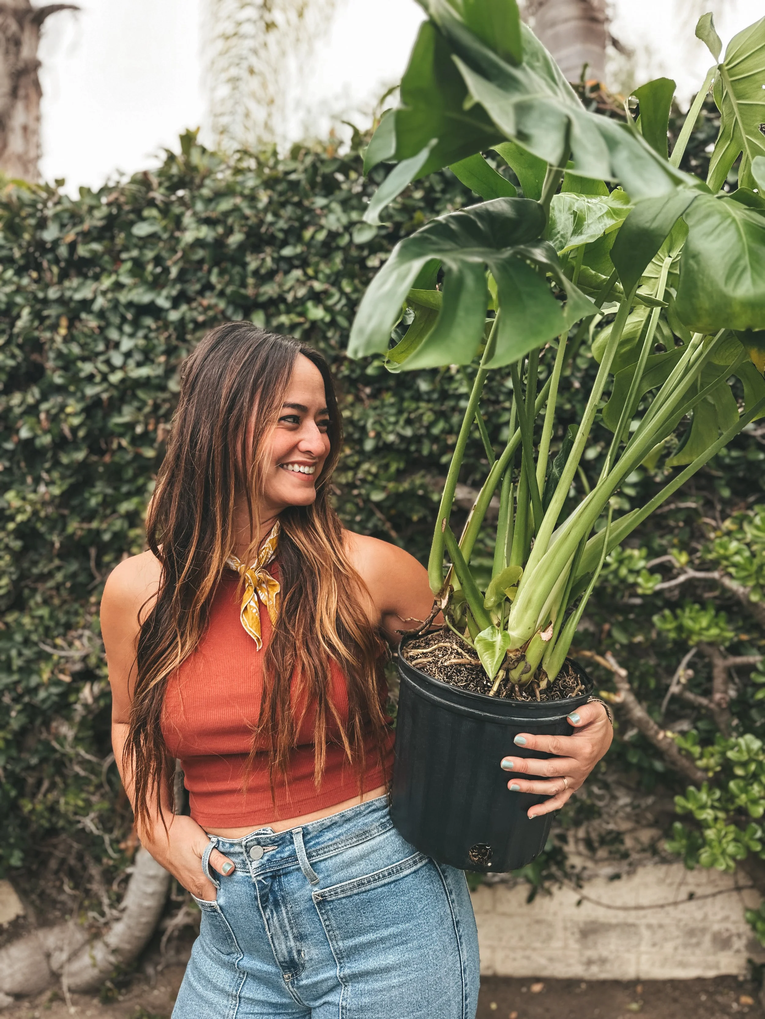 A woman smiling and holding a large potted plant outdoors.