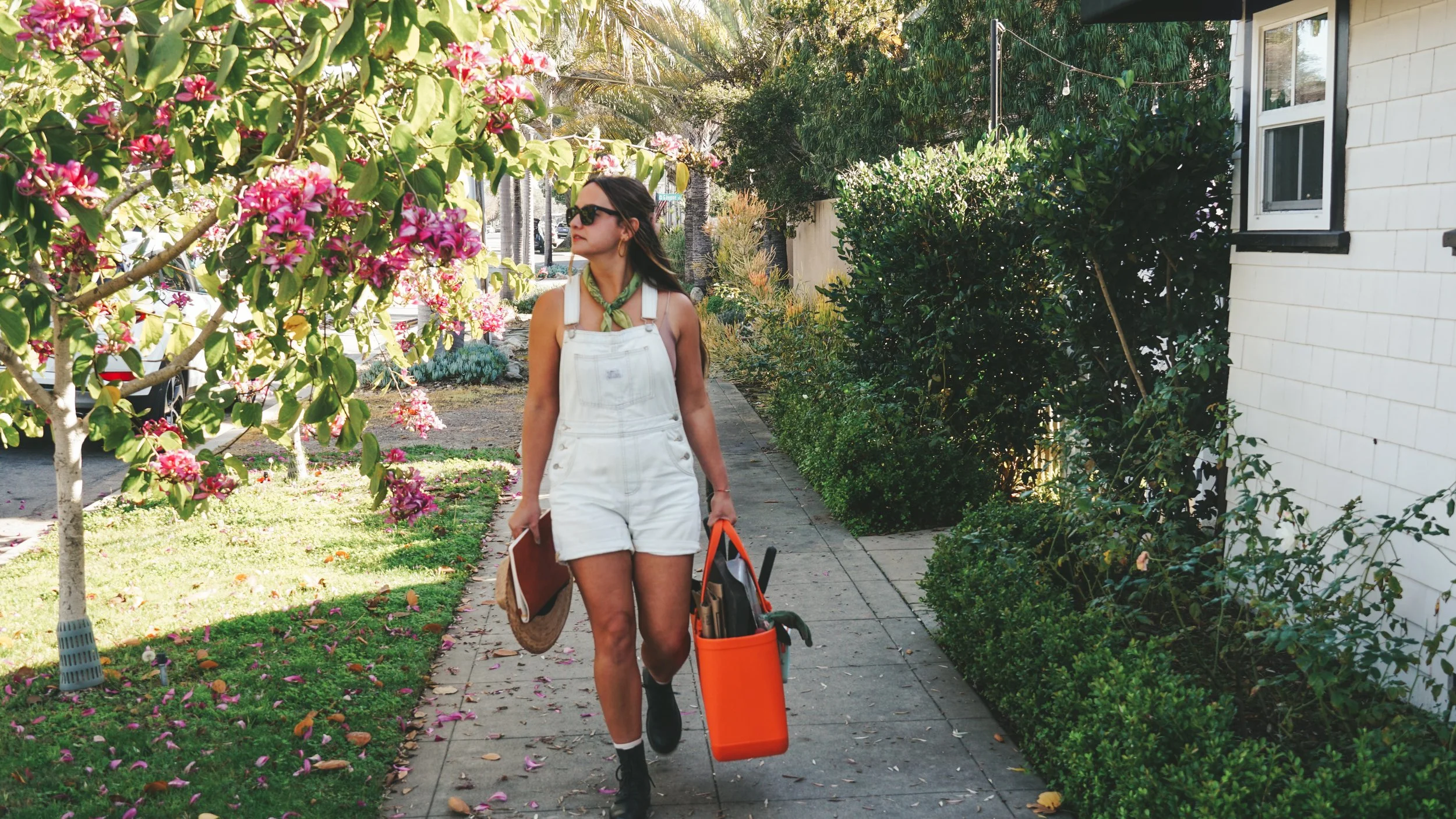 A woman walking on a sidewalk in a suburban neighborhood, carrying gardening tools and a bucket, surrounded by flowering bushes and trees on a sunny day.