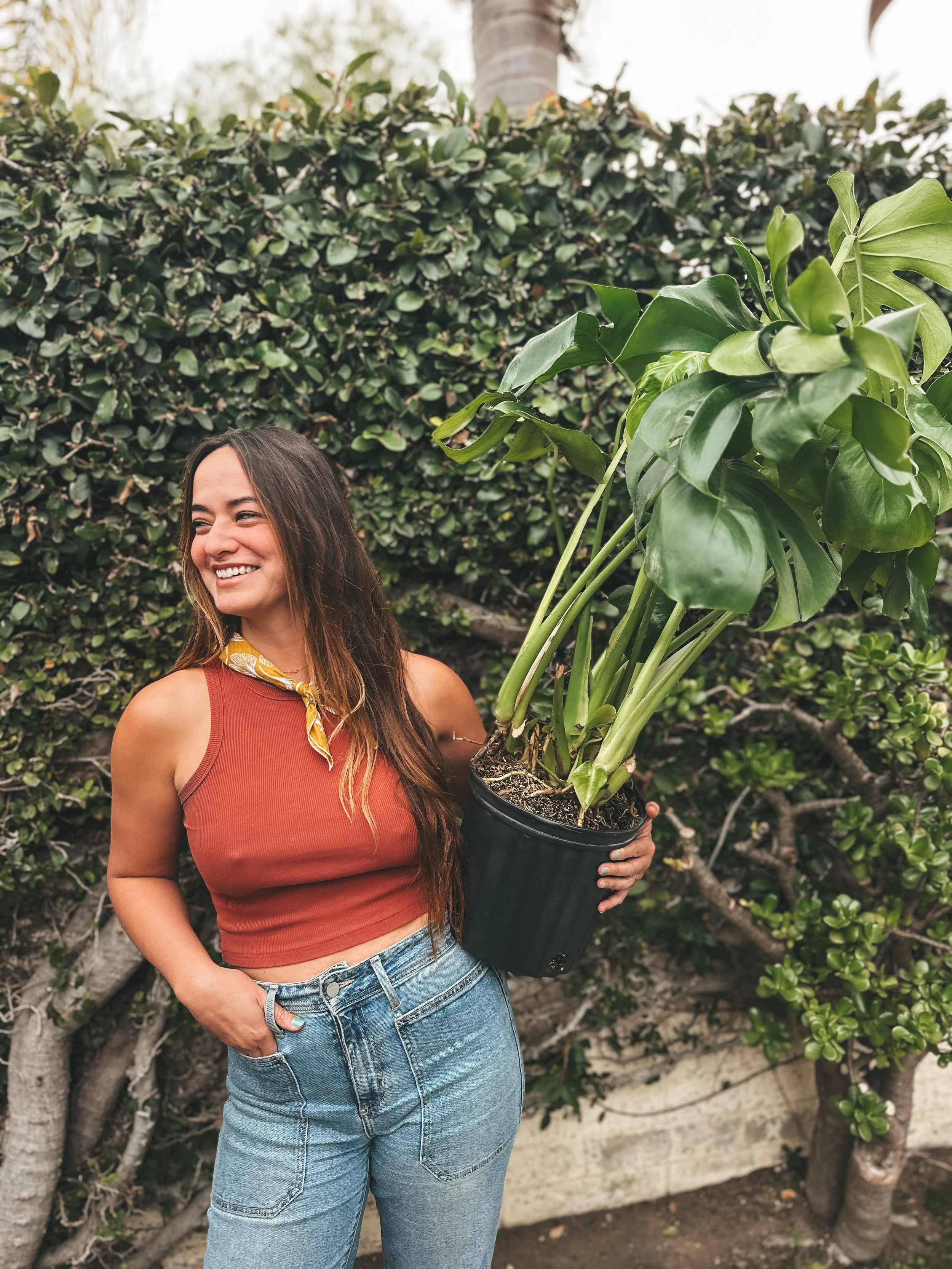 A woman outdoors holding a large potted plant, smiling, with a leafy hedge in the background.