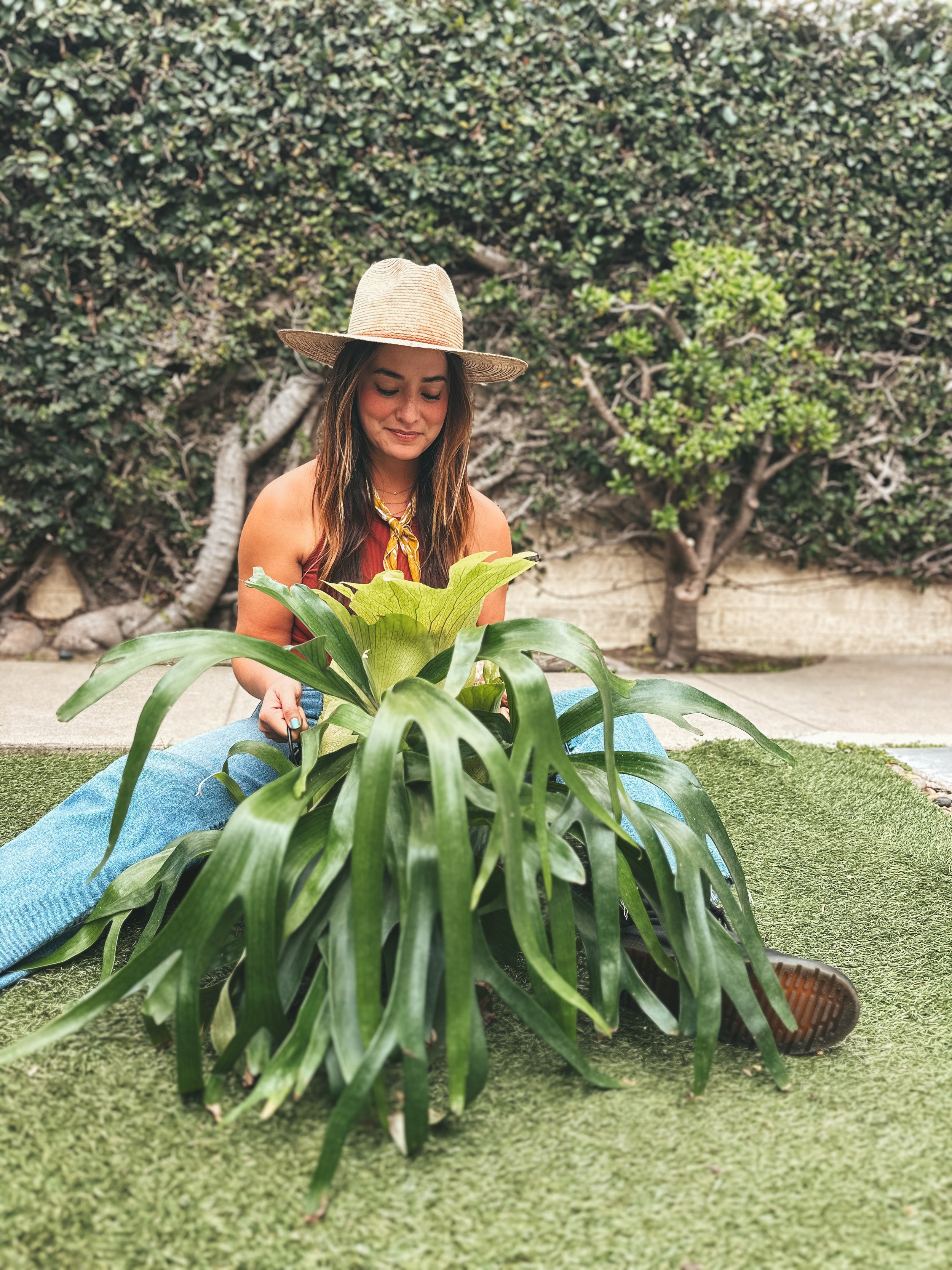 A woman sitting on the grass tending to a large potted plant, wearing a large straw hat, a sleeveless top, and blue jeans, with a green leafy bush and trees in the background.