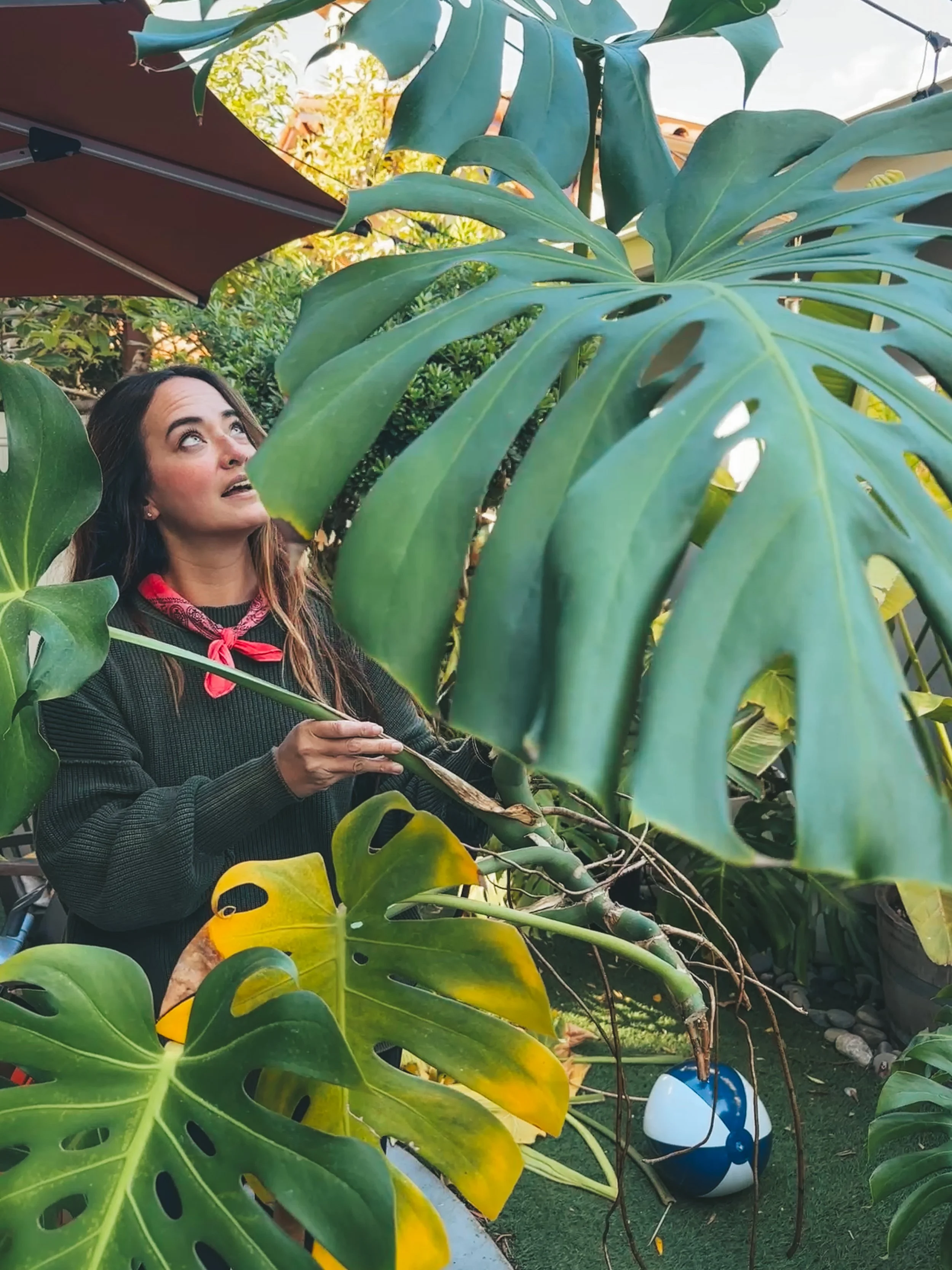 Woman standing among large, green leafy tropical plants, looking upward, holding a leaf, with a red bandana around her neck, and a paddle in her hand, in a lush garden setting.
