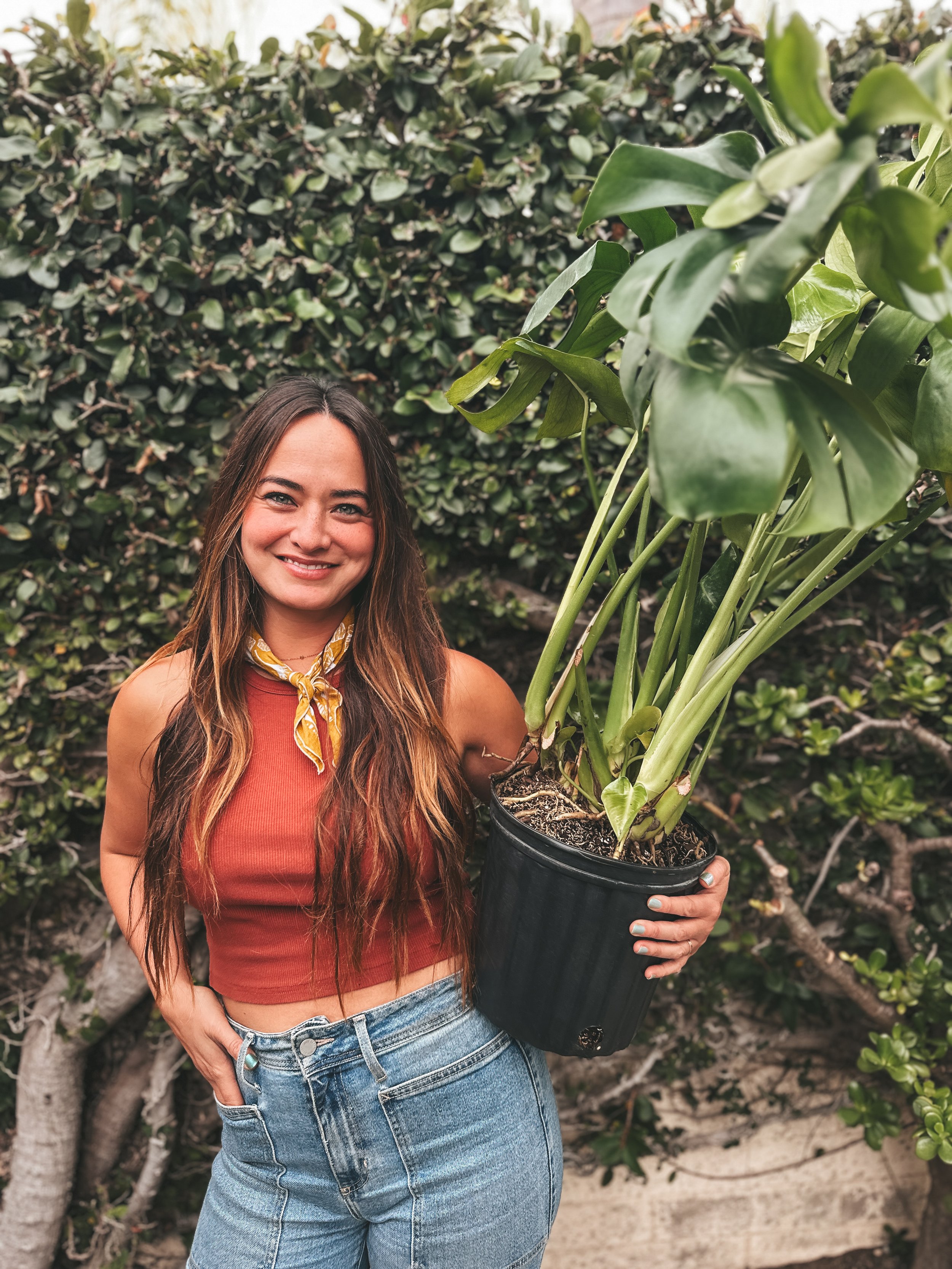 A young woman with long brown hair smiling, holding a large potted plant with big green leaves, standing outdoors in front of a dense hedge.
