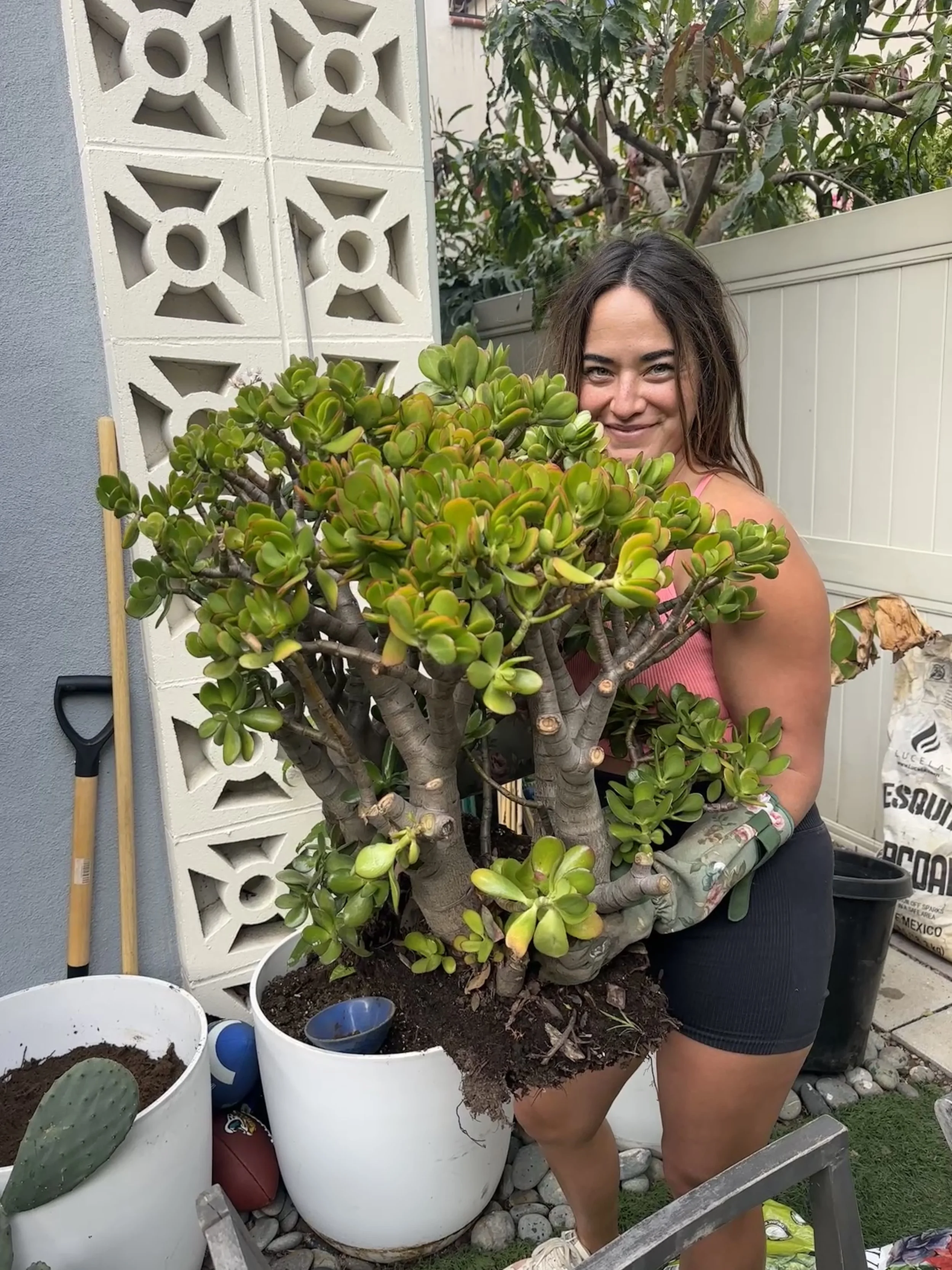 A woman with long dark hair smiling while holding a large potted succulent plant in an outdoor garden space.