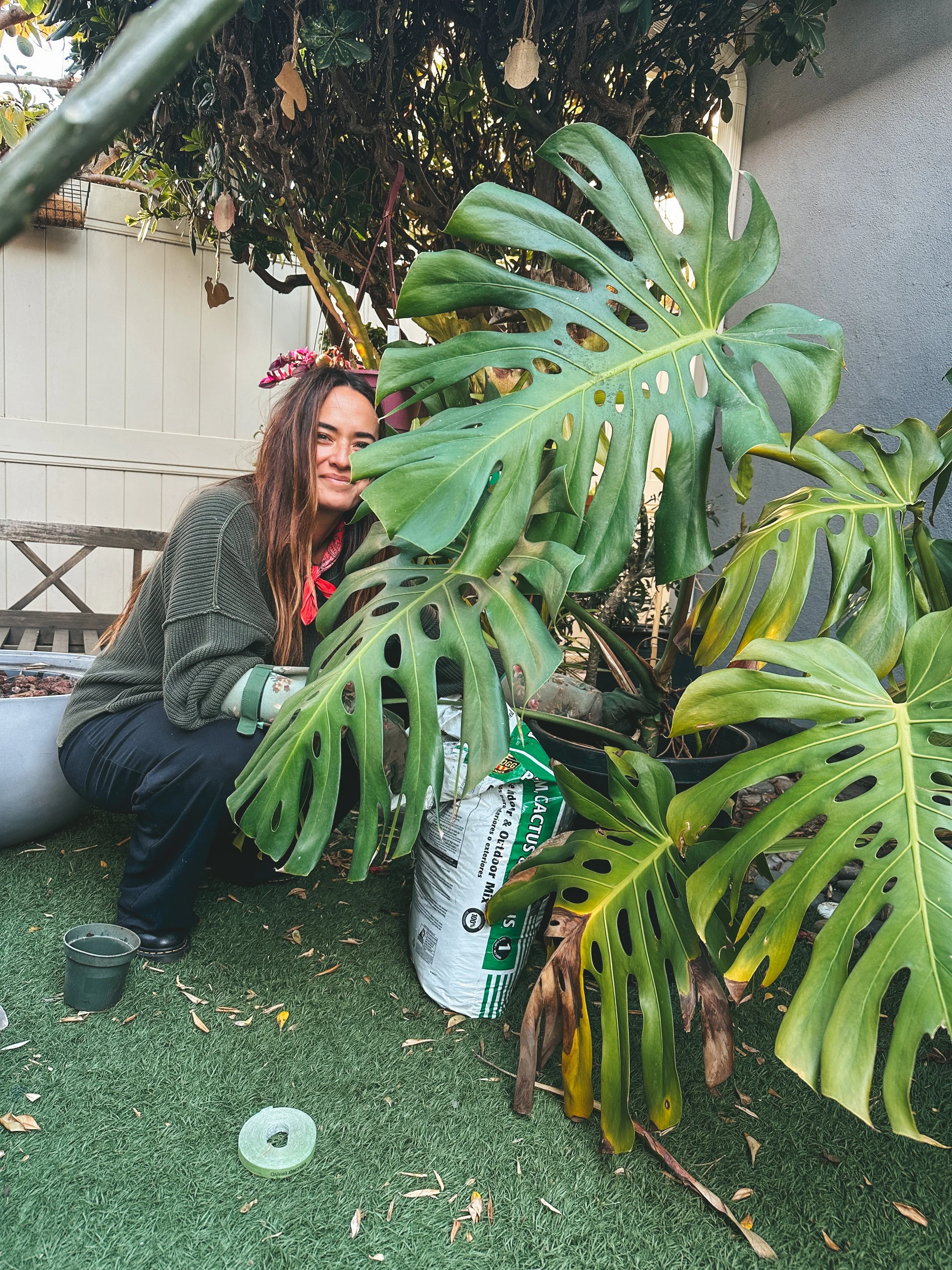 A woman is squatting next to a large Monstera plant in a garden, smiling at the camera.