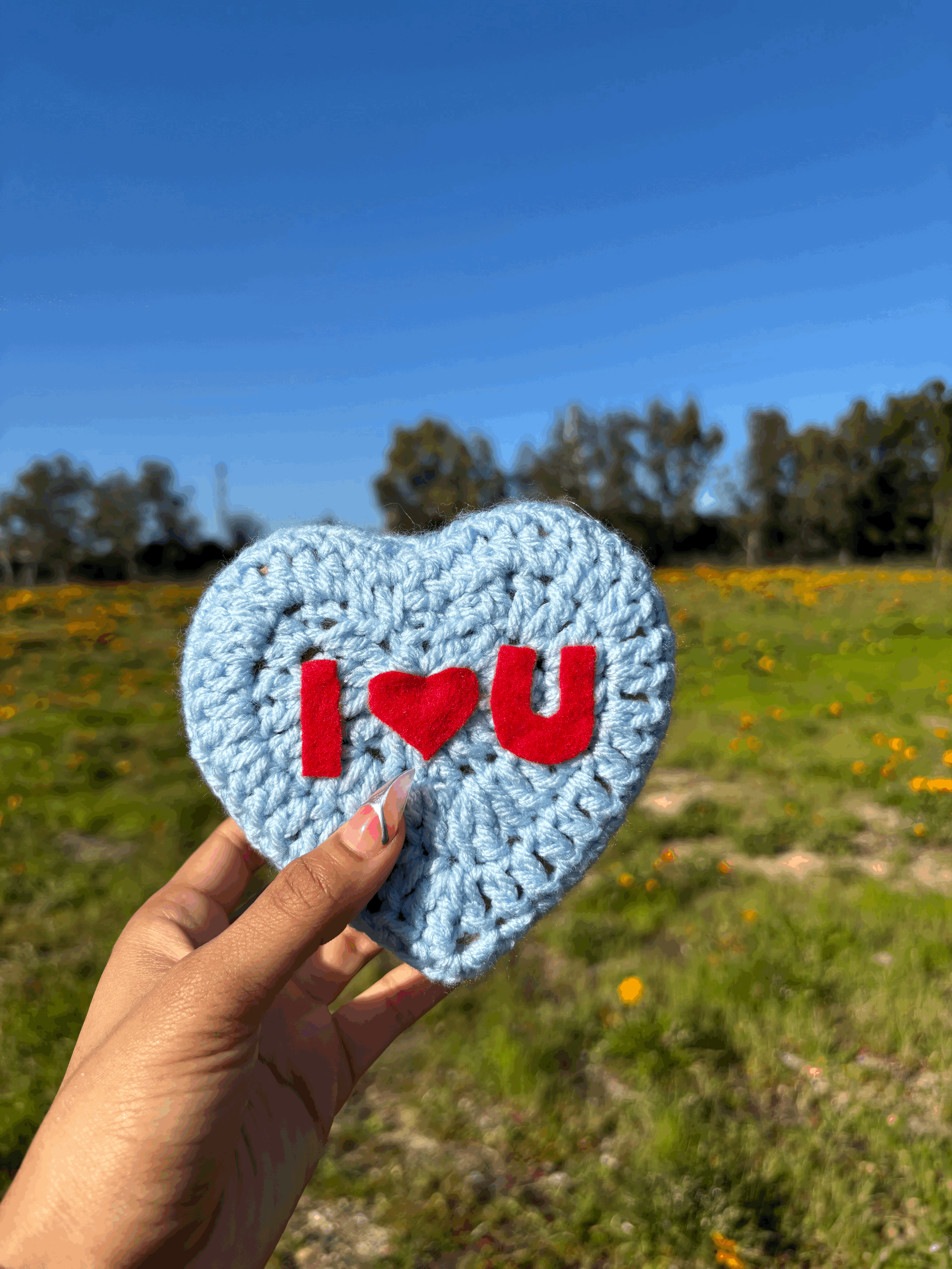 Heart Candy Storage Box (Blue)