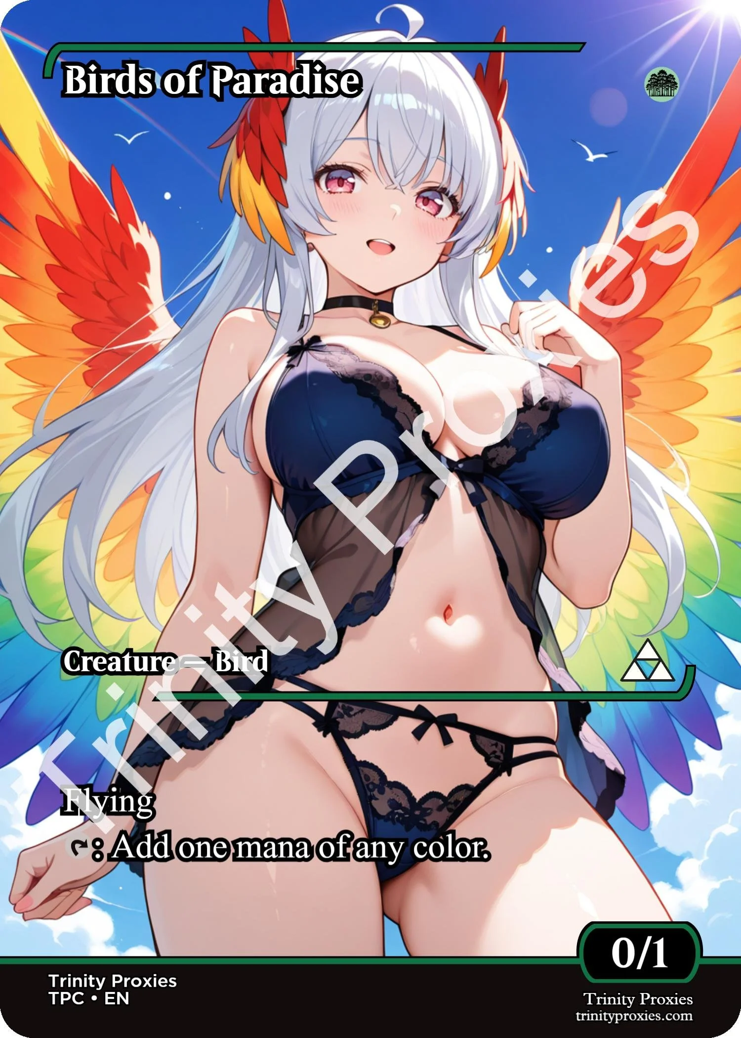 Birds of Paradise.jpg