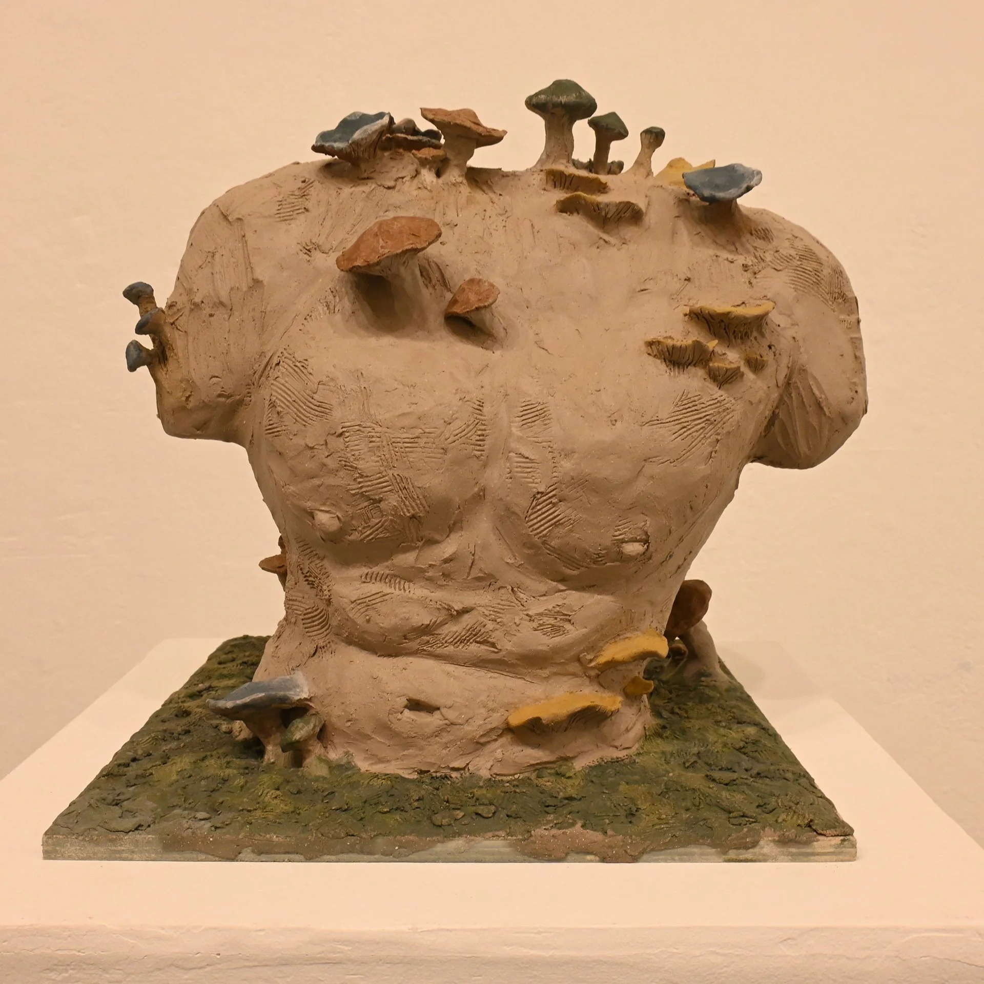 Clay sculpture of a human chest with small mushroom-like objects growing on it, set on a base, by Anna Ford.