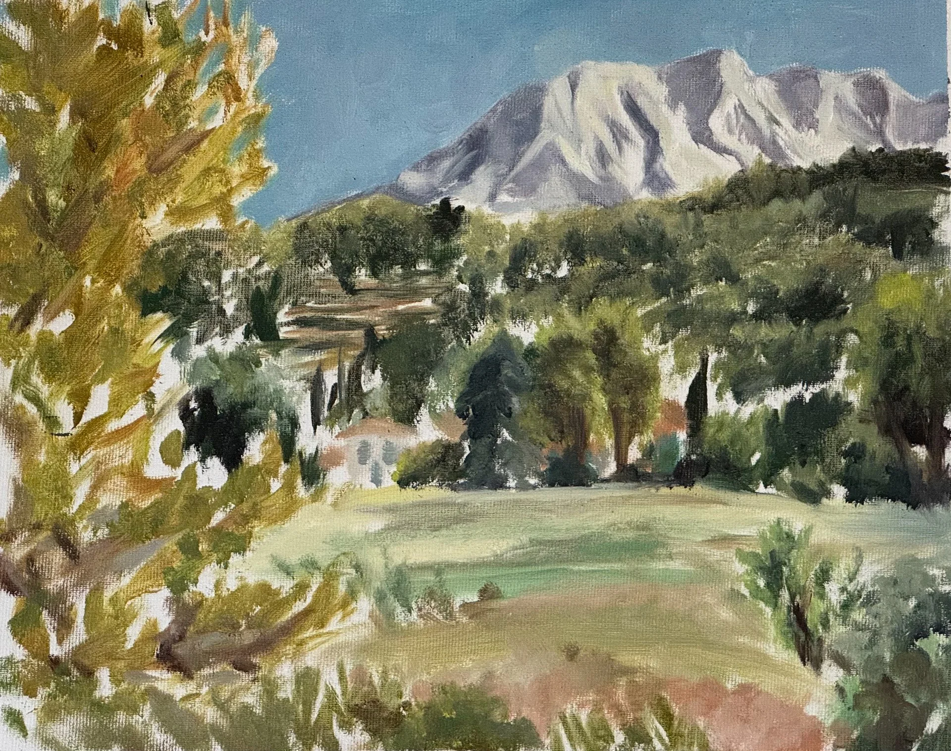A plein air landscape oil painting depicting a grassy field with trees in the foreground, a forested hillside in the middle ground, and snow-capped Montagne Sainte-Victoire in Aix-en Provence. Painted by Anna Ford.