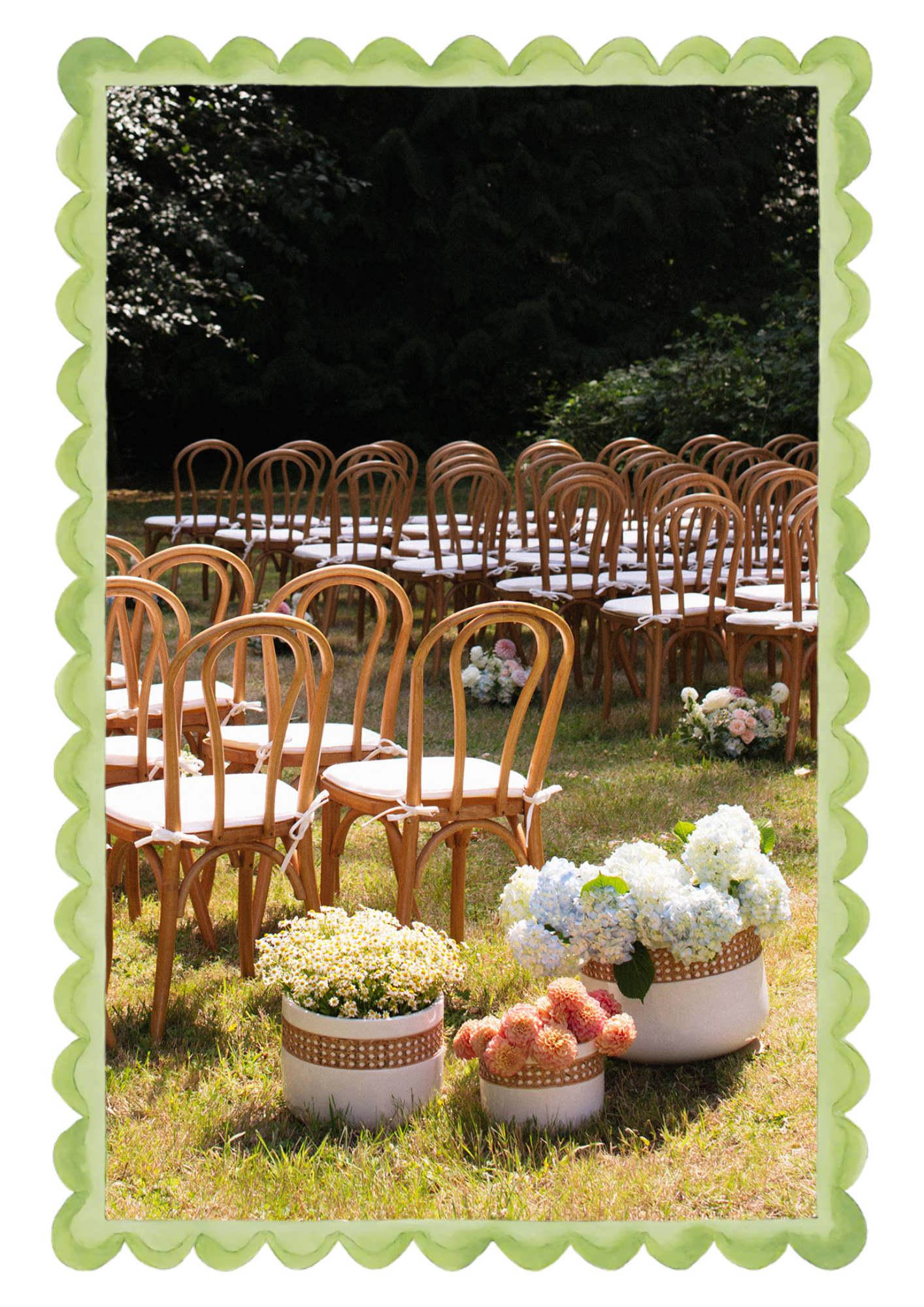 Outdoor wedding setup with rows of wooden chairs on grass, decorated with white bows, and large flower arrangements in white pots with hydrangeas, dahlias, and daisies.