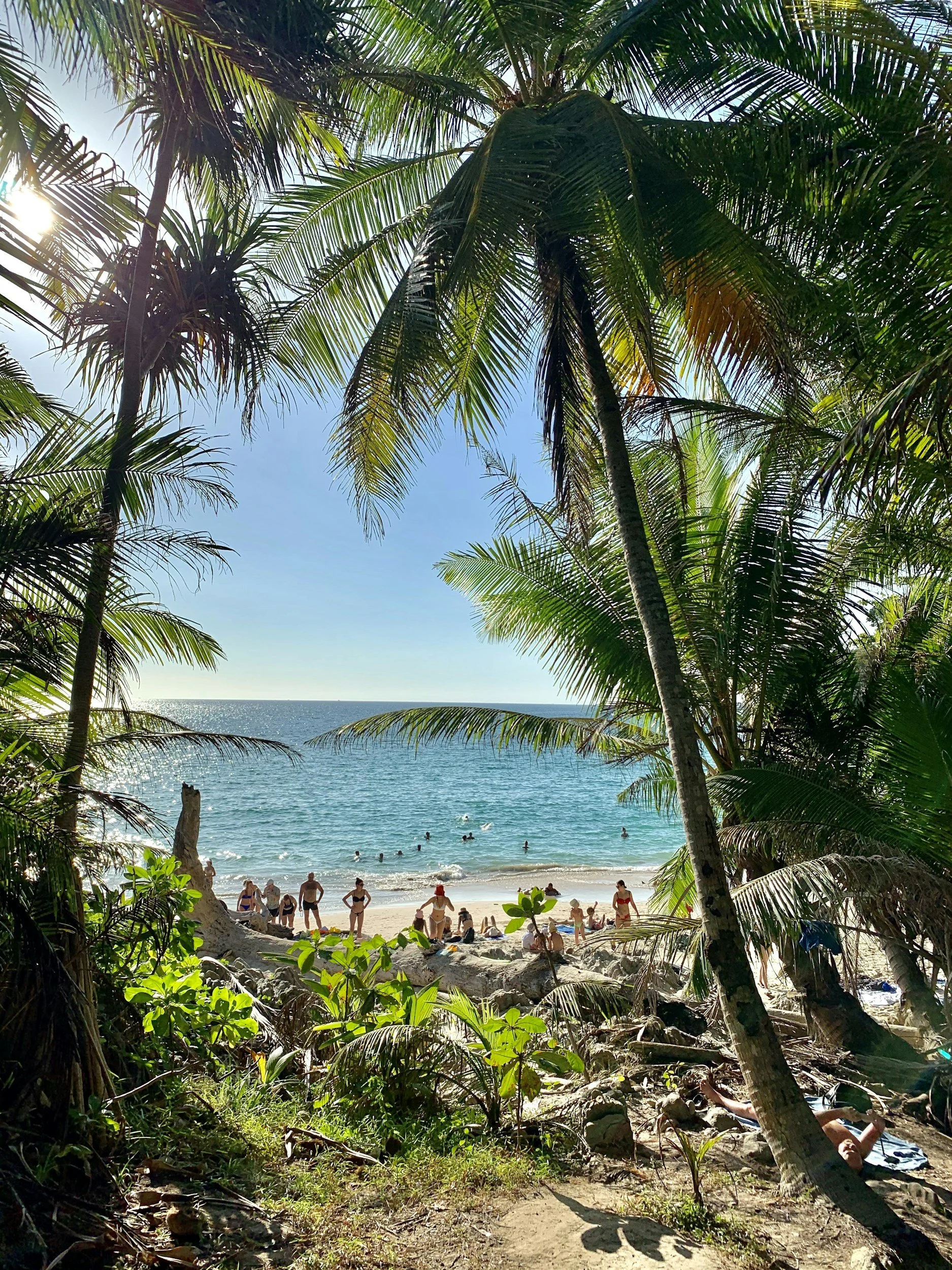View of a tropical beach through a natural frame of lush, green palm trees and foliage. Beachgoers are seen relaxing and swimming in the ocean under a clear, sunny sky.