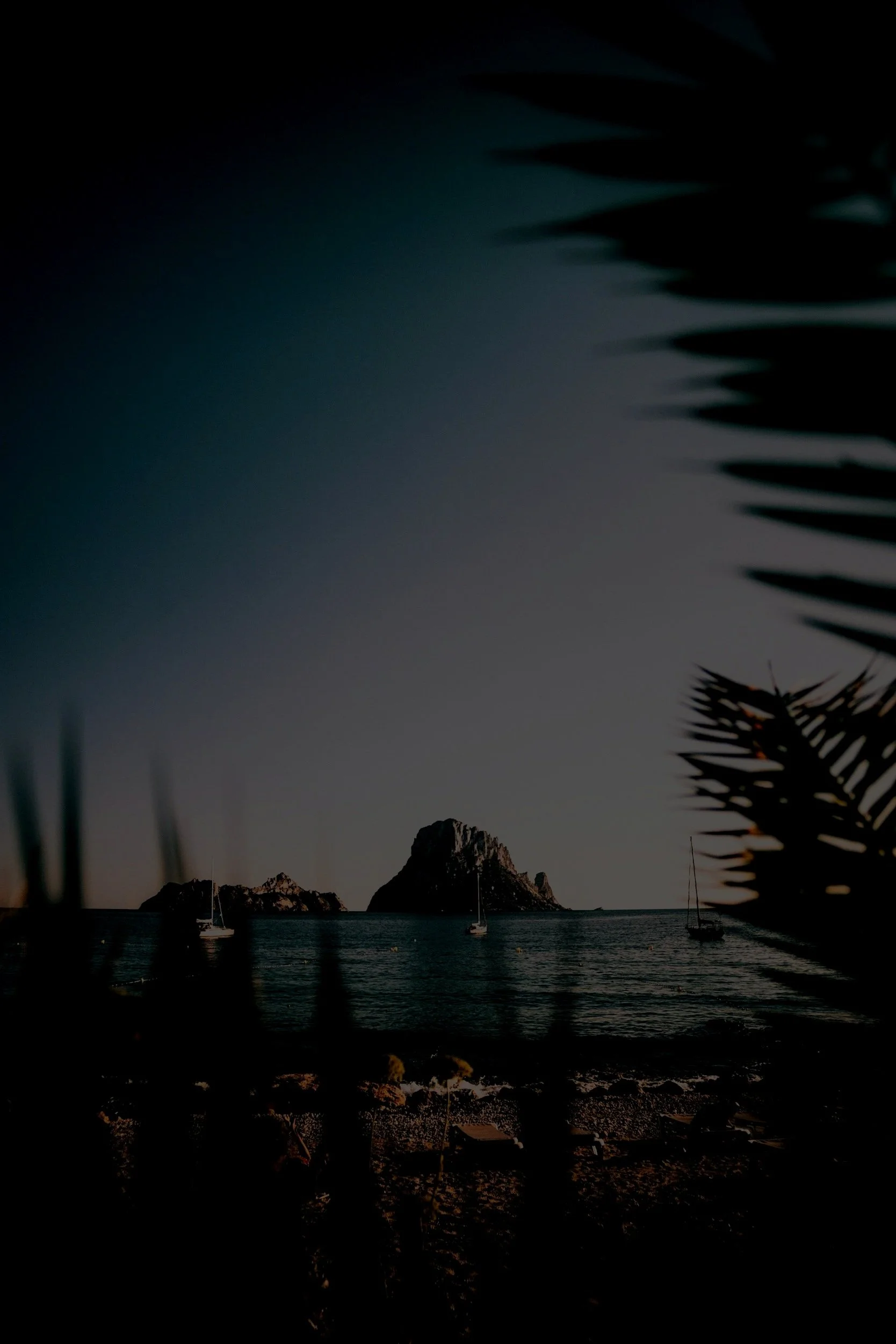 Nighttime view of the ocean with a small island and sailboats, framed by palm leaves in the foreground.