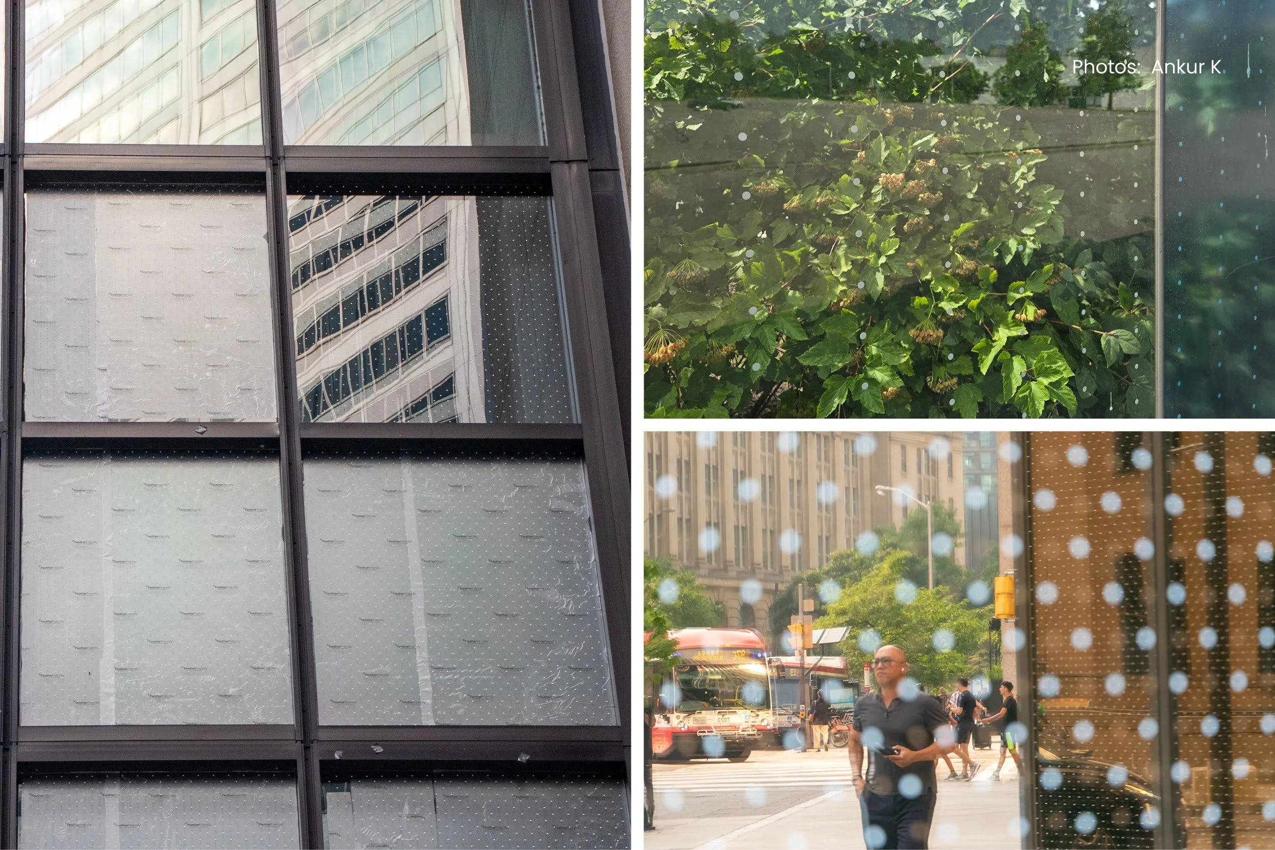 Retrofit or New Construction? Feather Friendly Works for Both