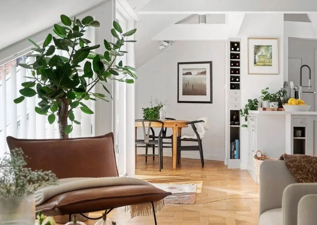 A bright living room with a large potted plant, a brown leather chair, a dining table with two chairs, art framed on the wall, and a kitchen area with white cabinets and a sink.
