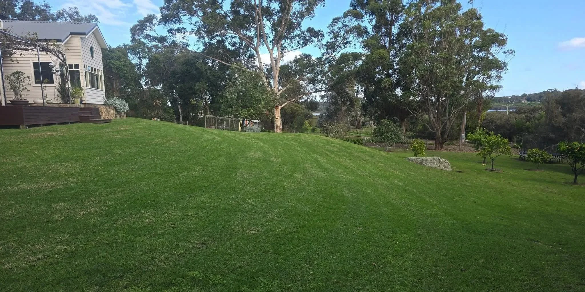 A lush green lawn with trees and shrubbery in a suburban backyard, featuring a house with large windows and a deck.