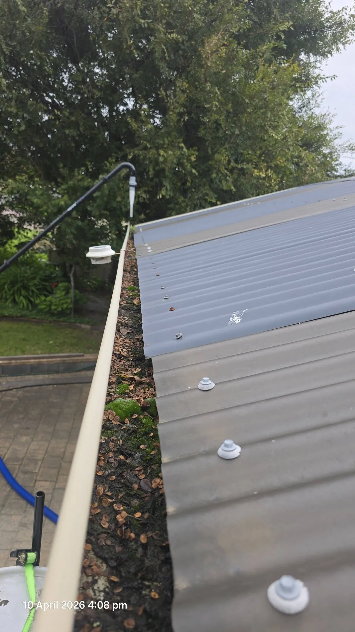 A view of a metal roof with fasteners, a gutter, and a pipe, with trees in the background and a cloudy sky.