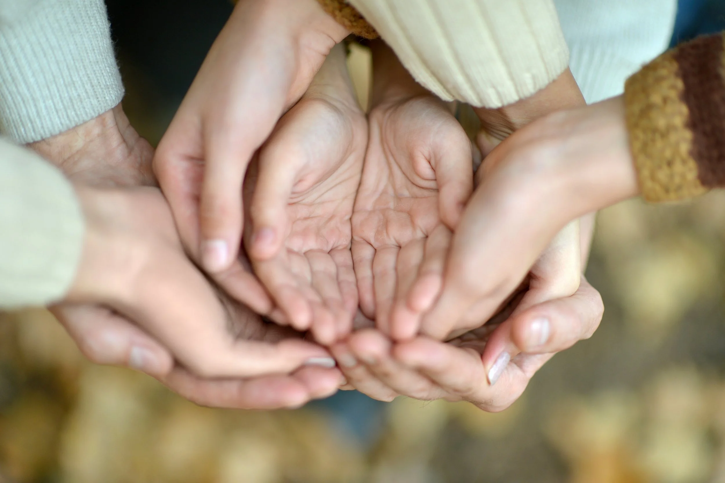 Couples, Family, Parent Therapies