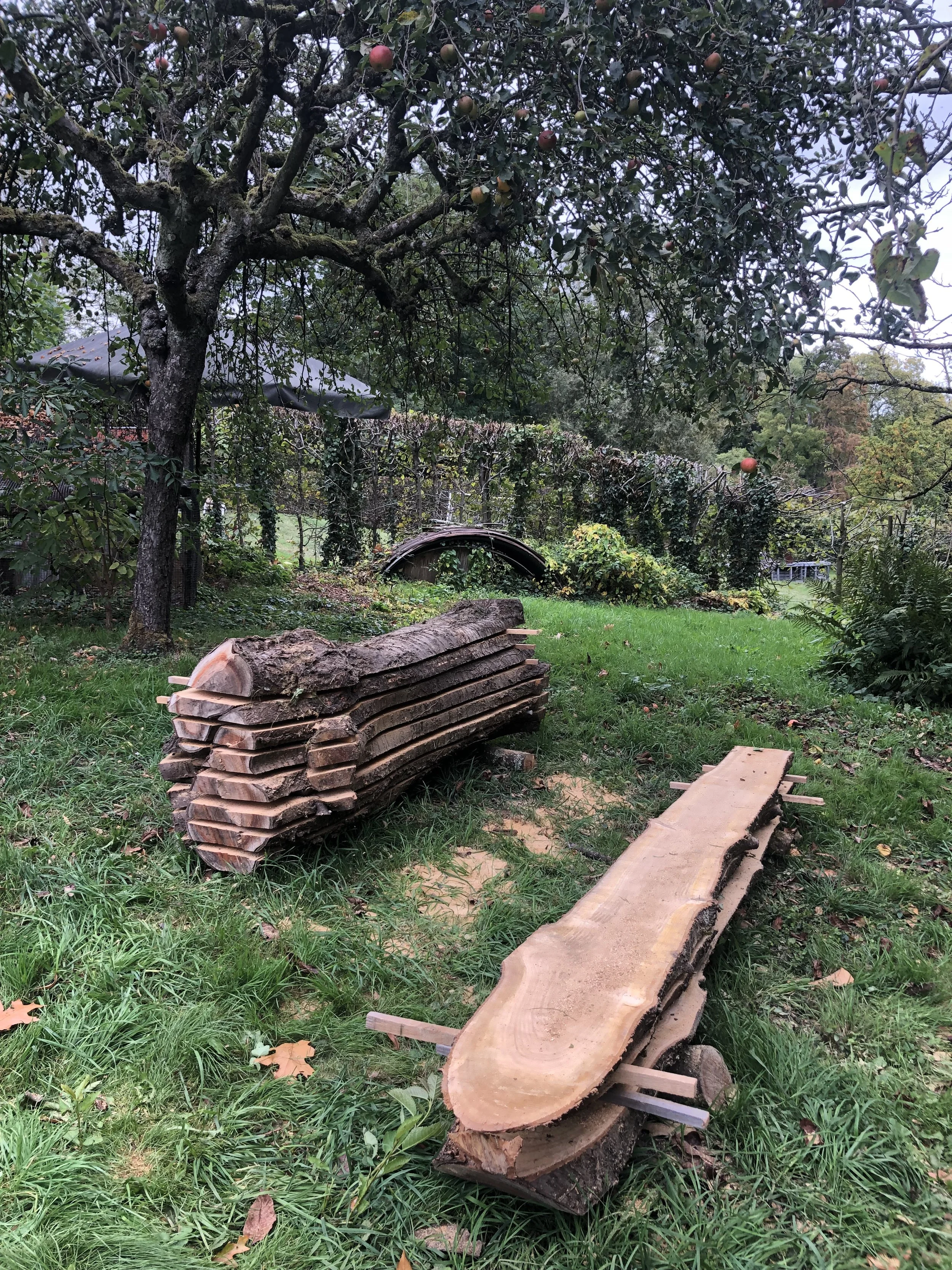 Omgevallen boom die werd verzaagd tot een tiental planken