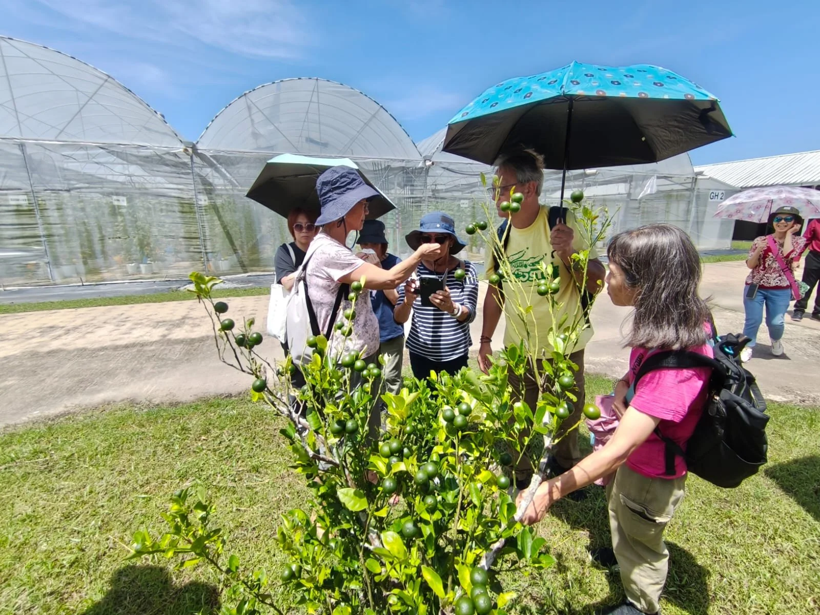 WhatsApp Image 2026-02-18 at 2.34.46 PM.jpeg