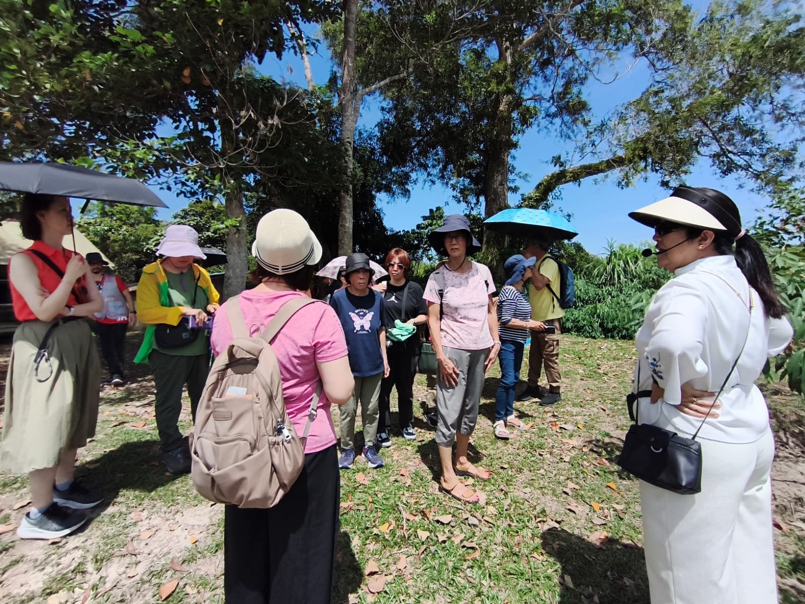 WhatsApp Image 2026-02-18 at 2.34.29 PM.jpeg