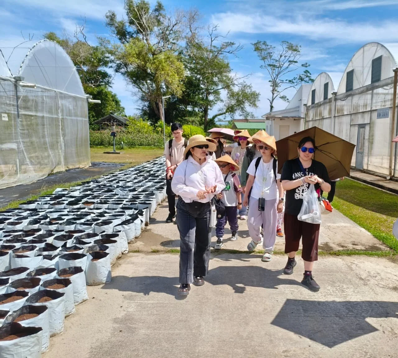 Hong Kong Tourists on 3rd April 2026, Friday