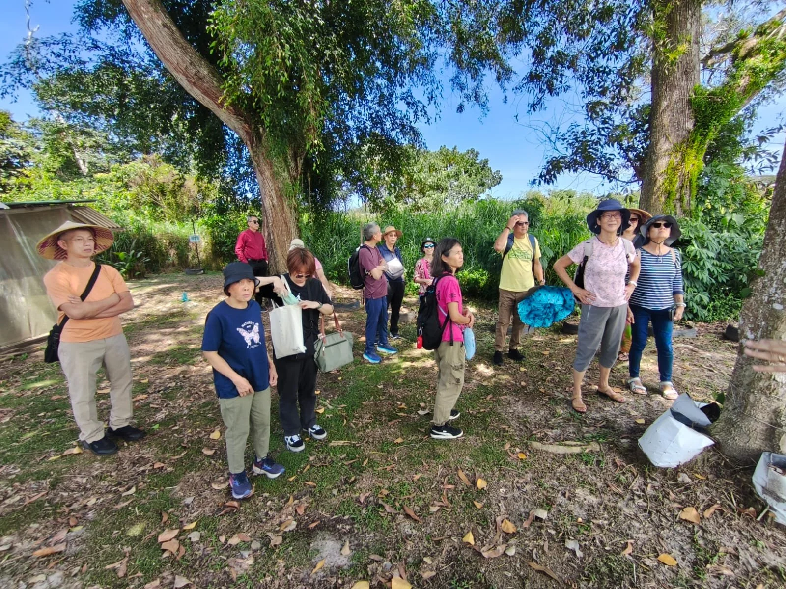 WhatsApp Image 2026-02-18 at 2.34.25 PM (1).jpeg