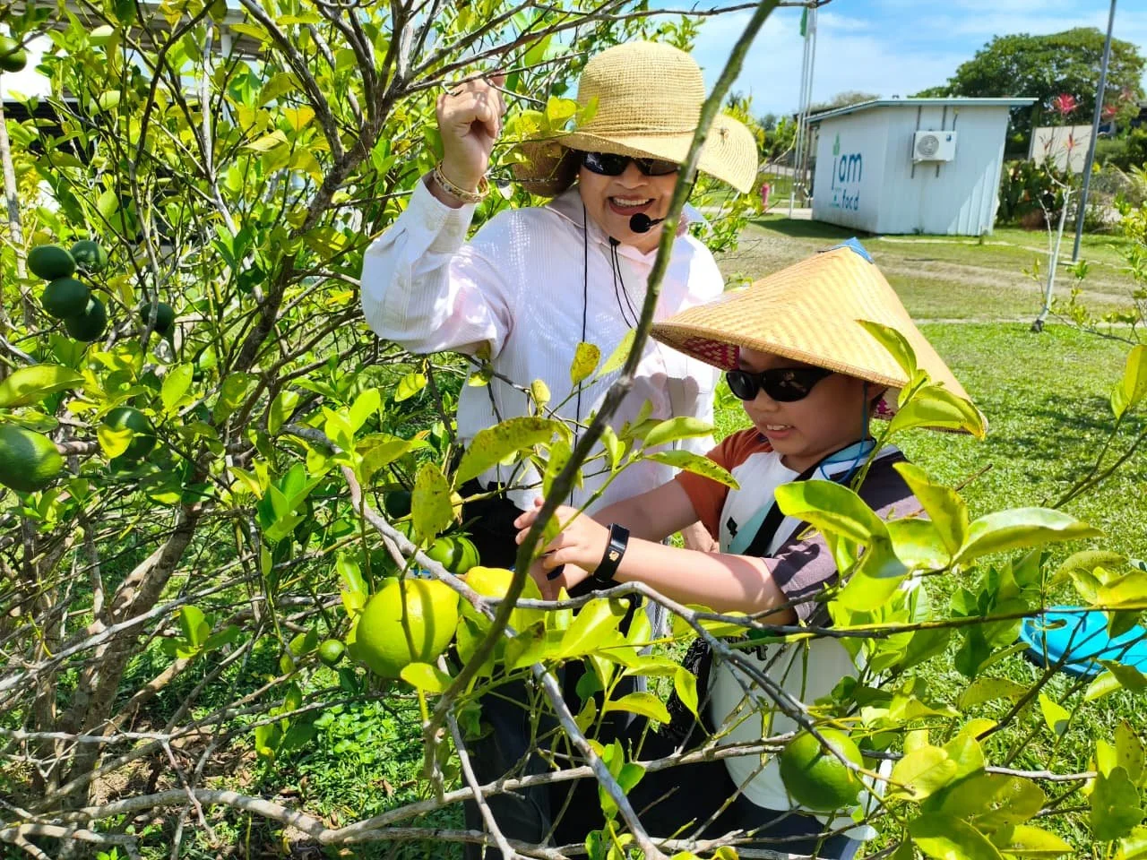 WhatsApp Image 2026-04-04 at 10.25.43 AM (2).jpeg