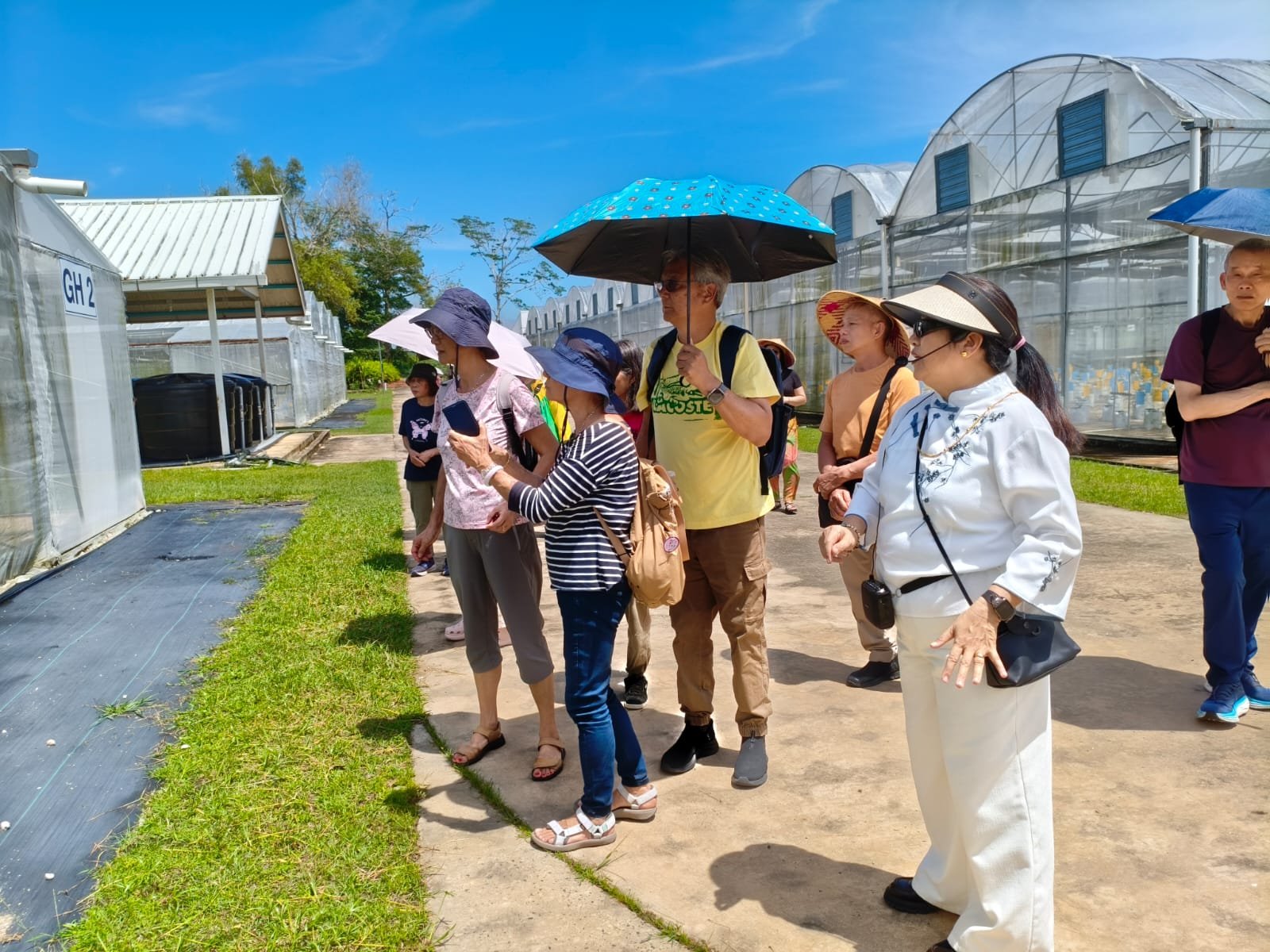 Hong Kong Tourists 17Feb2026
