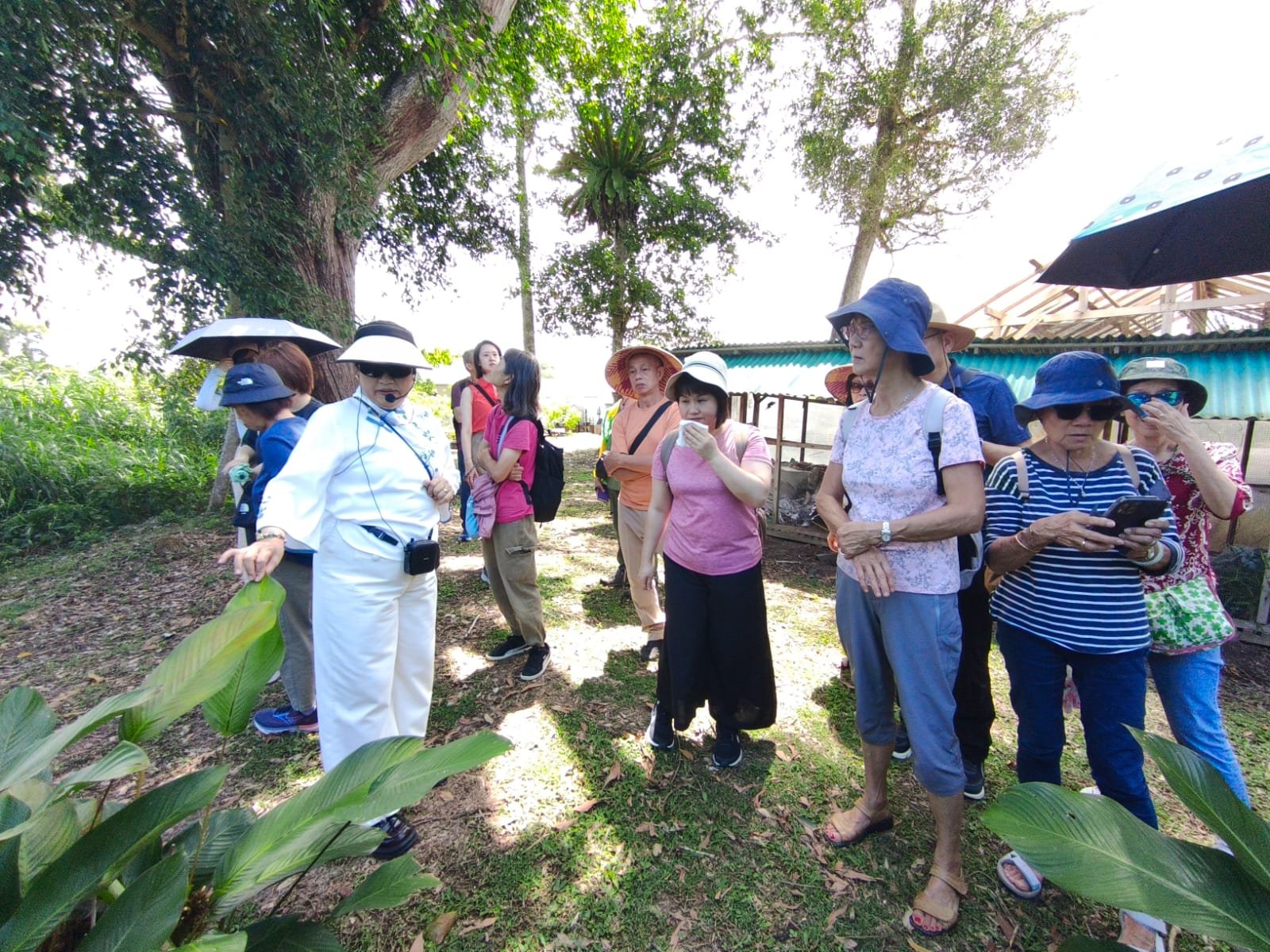 WhatsApp Image 2026-02-18 at 2.34.25 PM.jpeg