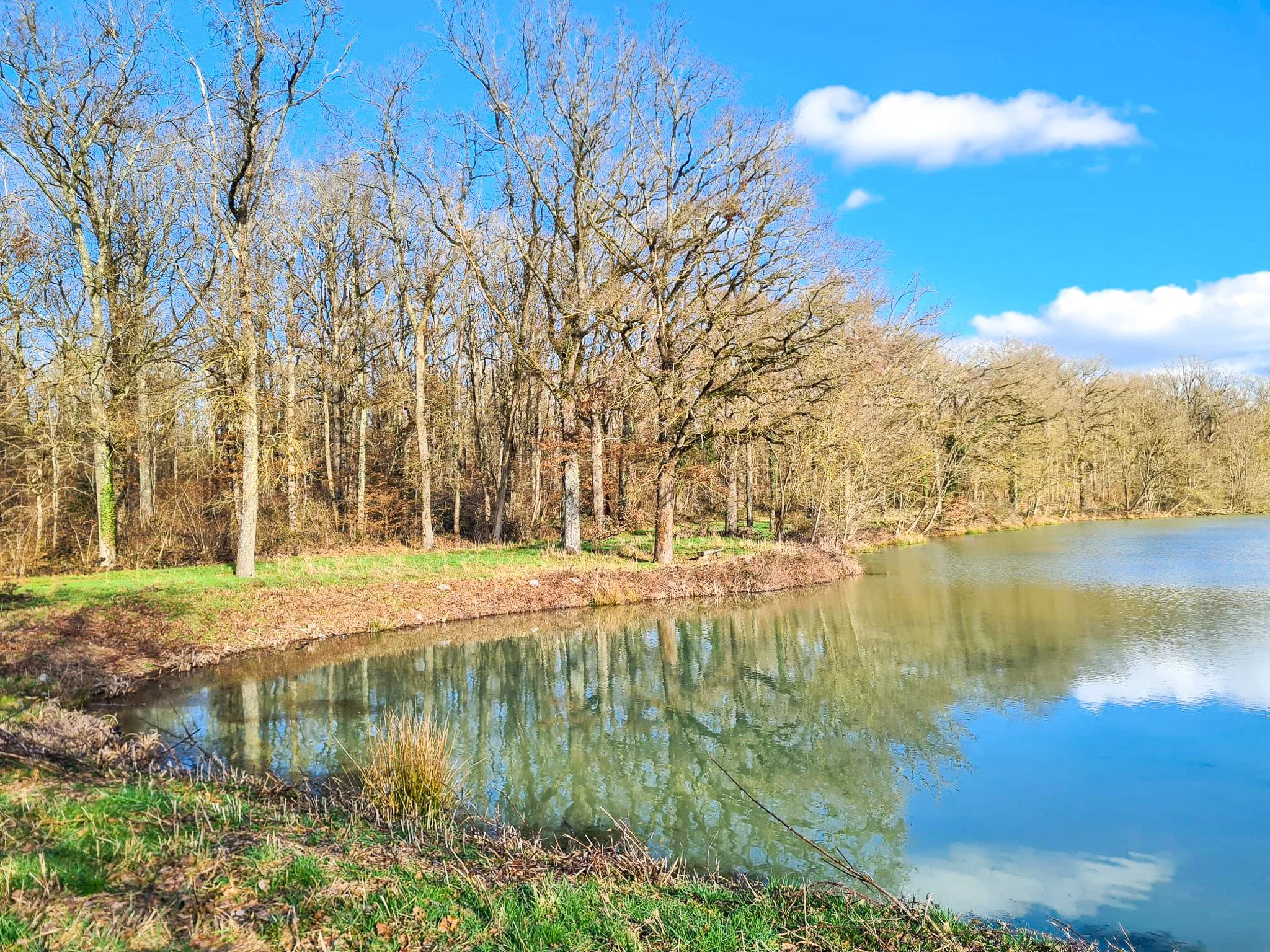 Rivière bordée d'arbres sans feuilles, ciel bleu avec quelques nuages.