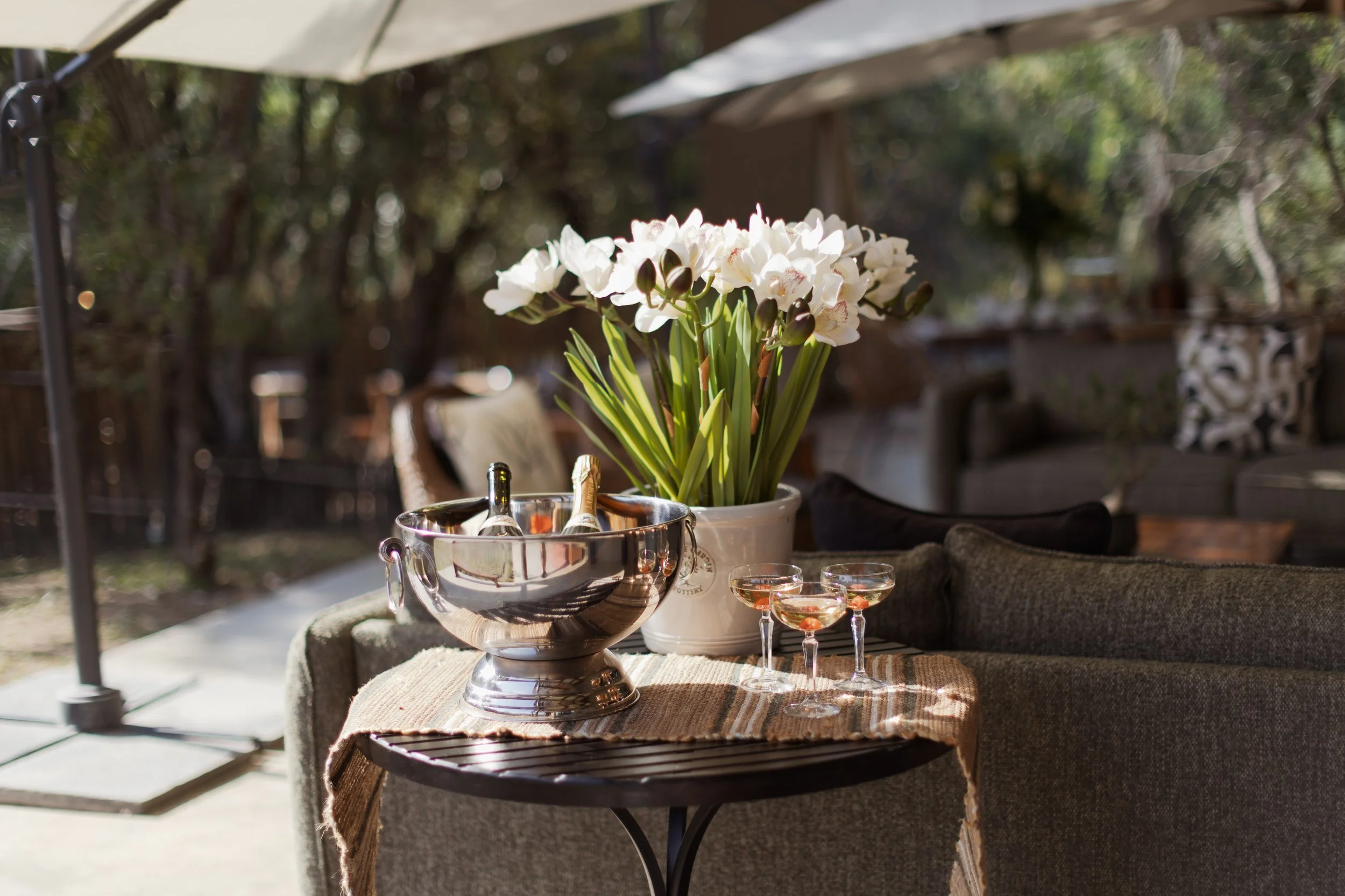White orchids and drinks on a table set outdoors under a parasol — Moditlo, Greater Kruger.