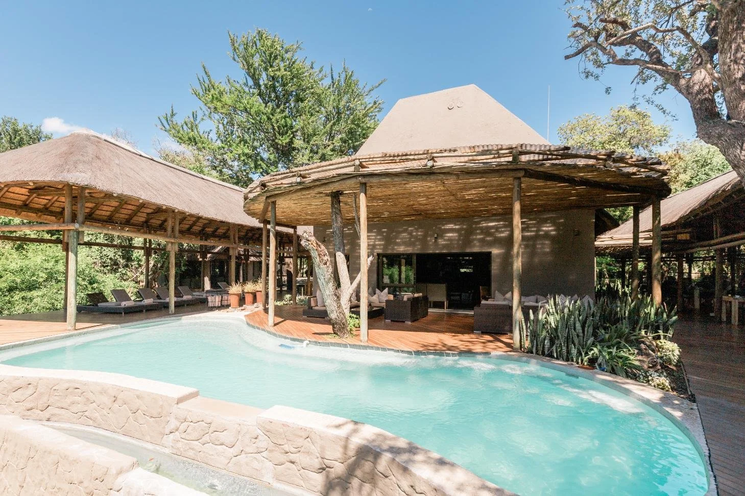 Moditlo Sparrow Photos_71.jpg