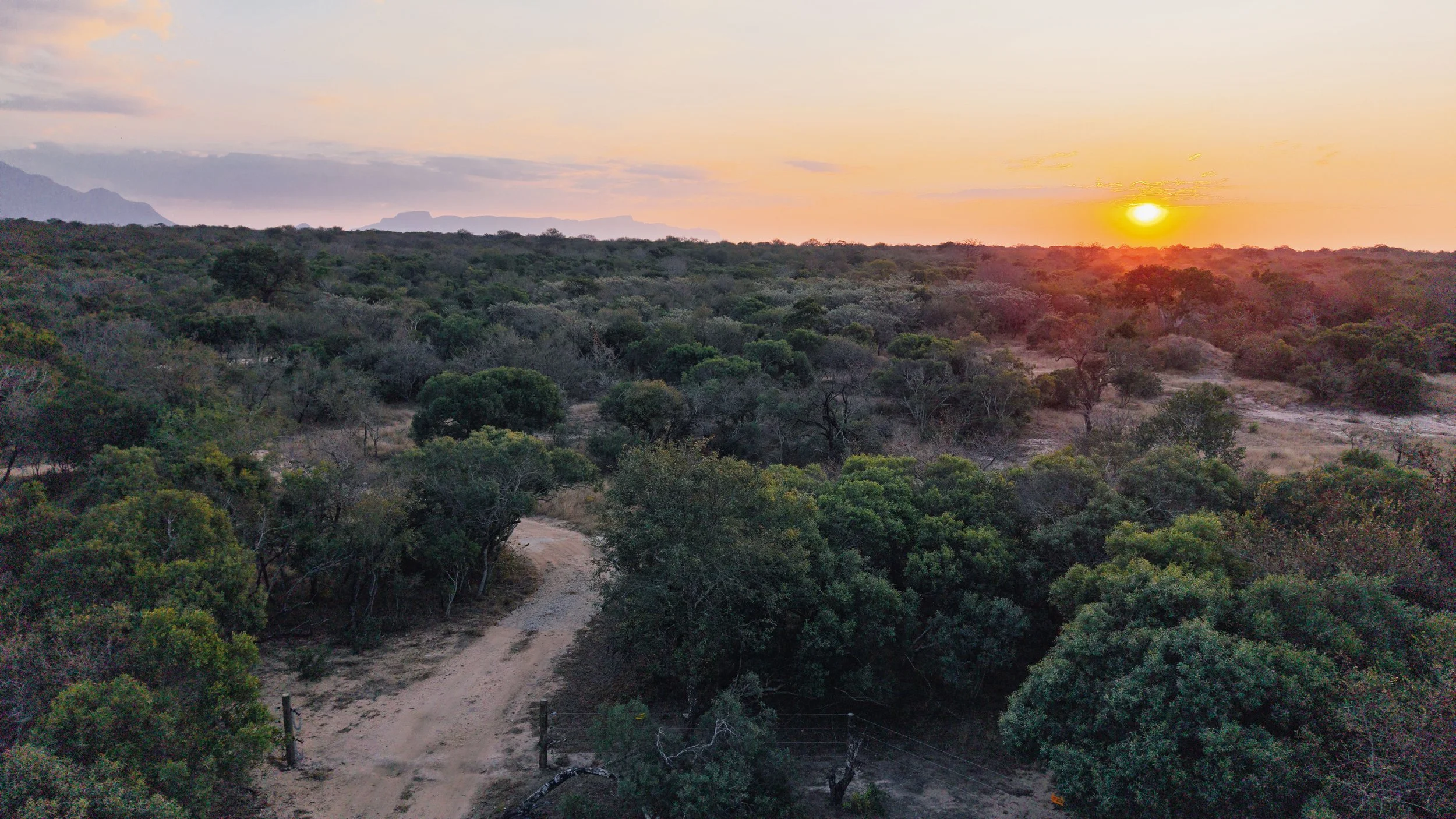 Sunset over the bushveld with a winding path and mountains beyond — Moditlo, Greater Kruger.