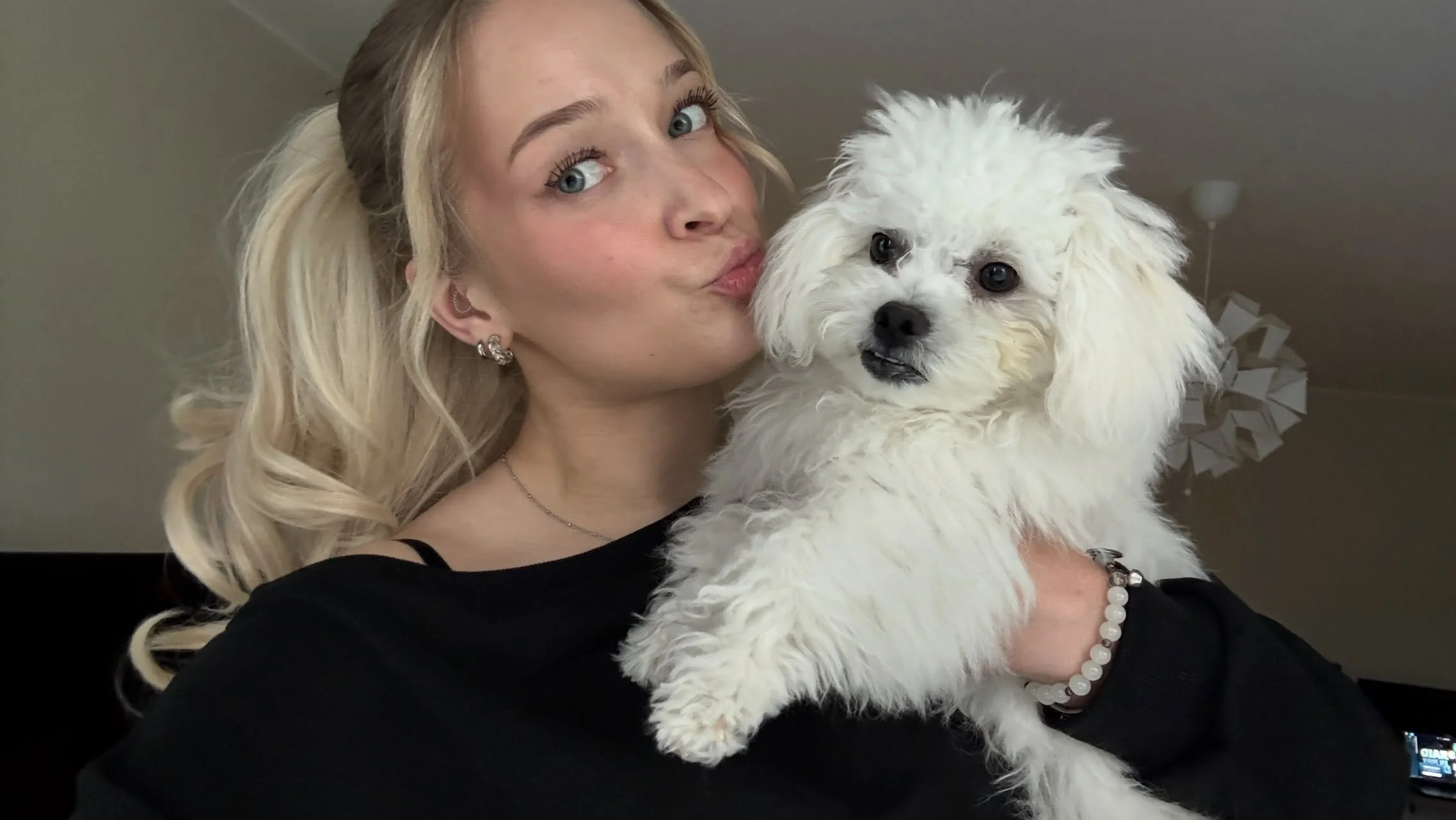 maailman rakkain pieni irvistelij&auml; 🤓🩵🩵 

#bolognese #bichonbolognese #puppy #dogstagram