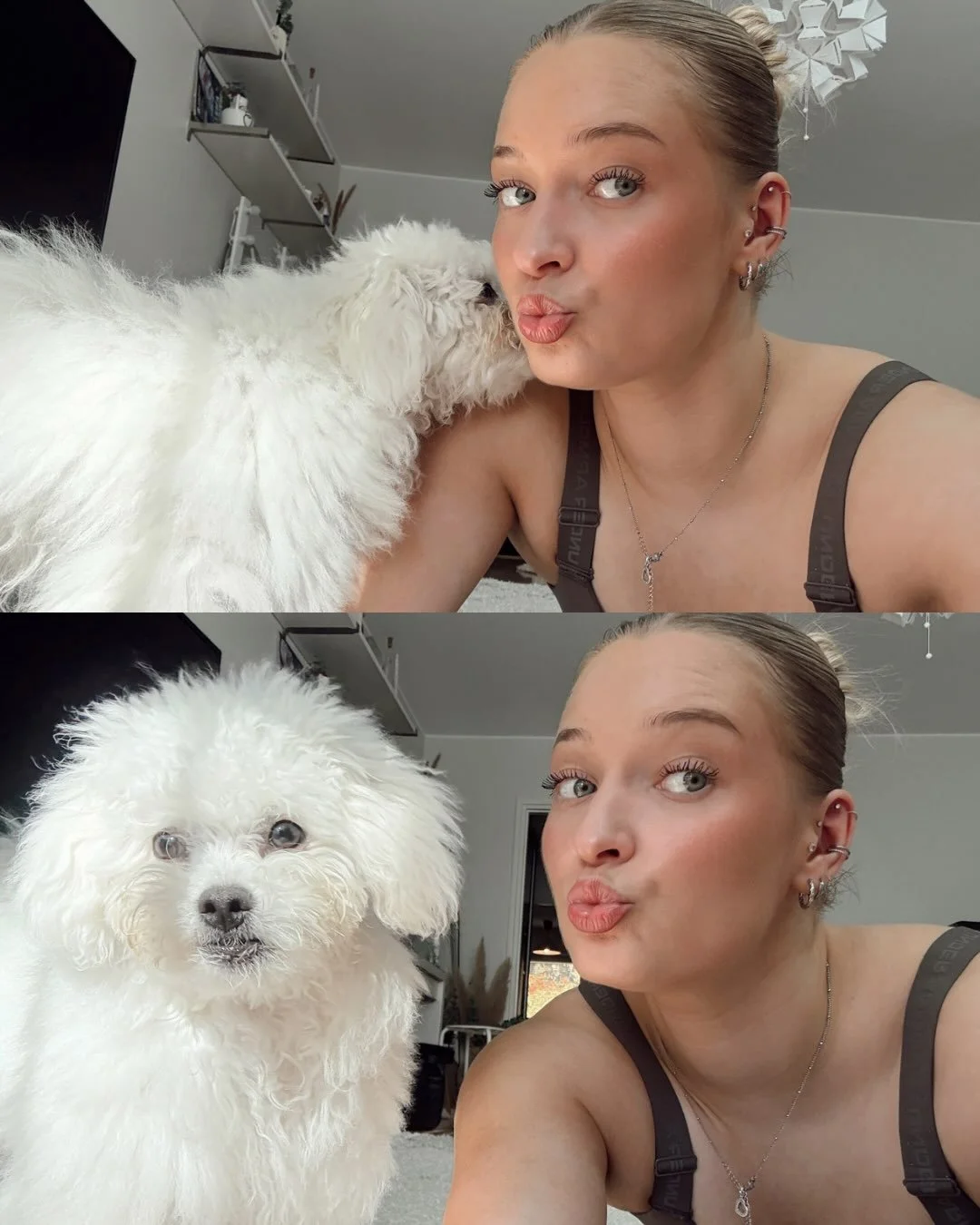 Lumo 6kk 🥹🩵🩵 el&auml;m&auml;ni parhaat kuukaudet😭

#puppy #bolognesedog #bolognesepuppy #bichonbolognese #dogmama
