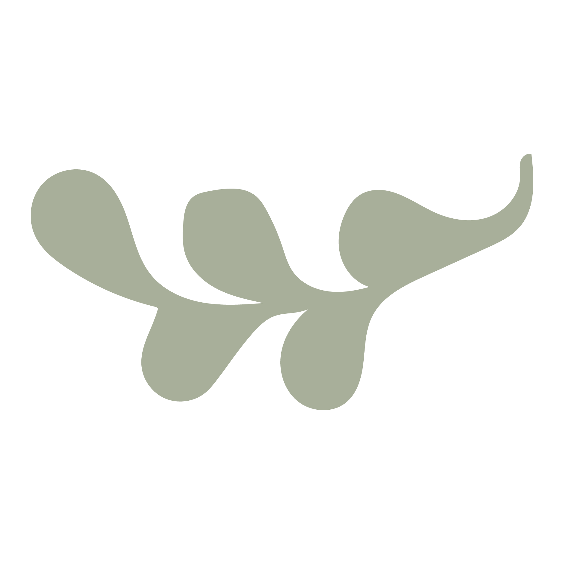 A stylized, minimalist illustration of a gray branch with three elongated leaves.