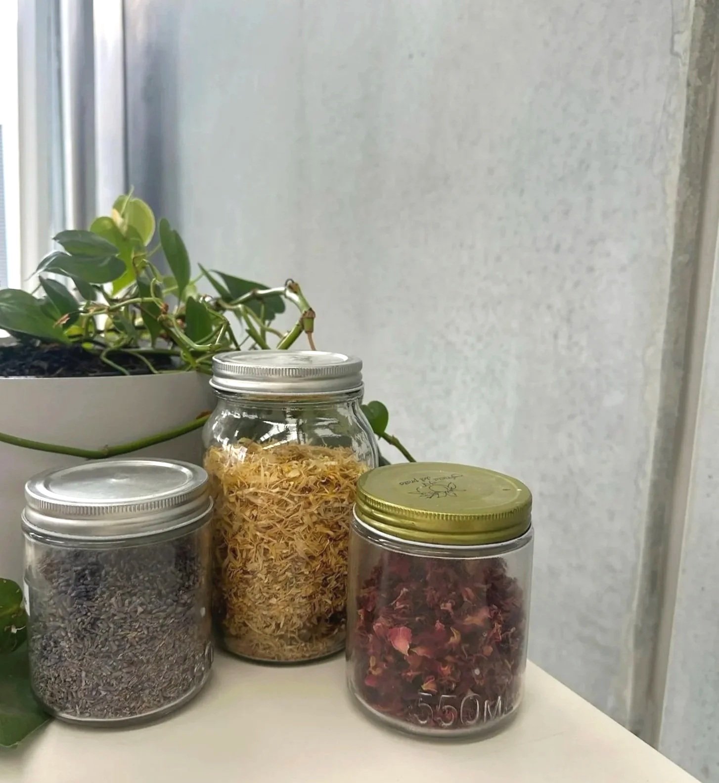 Three glass jars containing dried herbs or flowers on a white surface with a potted plant in the background.