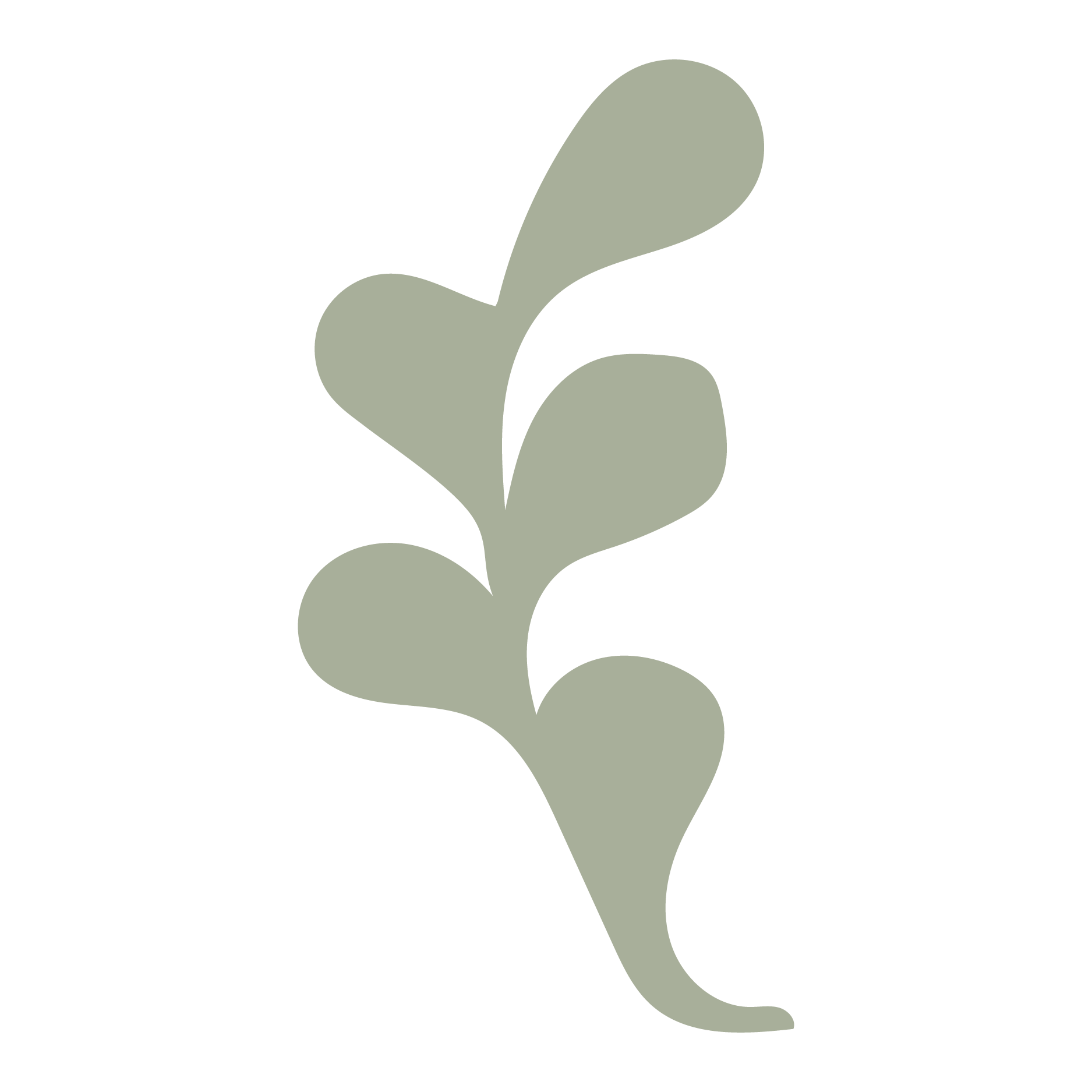 Minimalist illustration of a green leafy branch with rounded leaves on a black background.