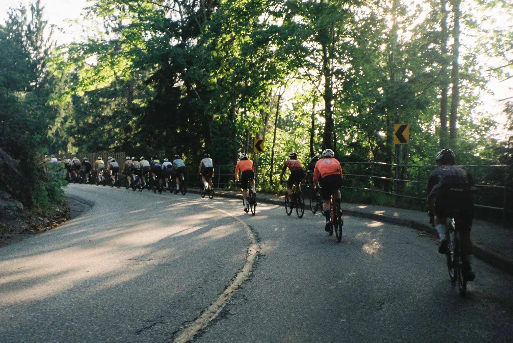 0002005_0002005-R1-041-19.jpg