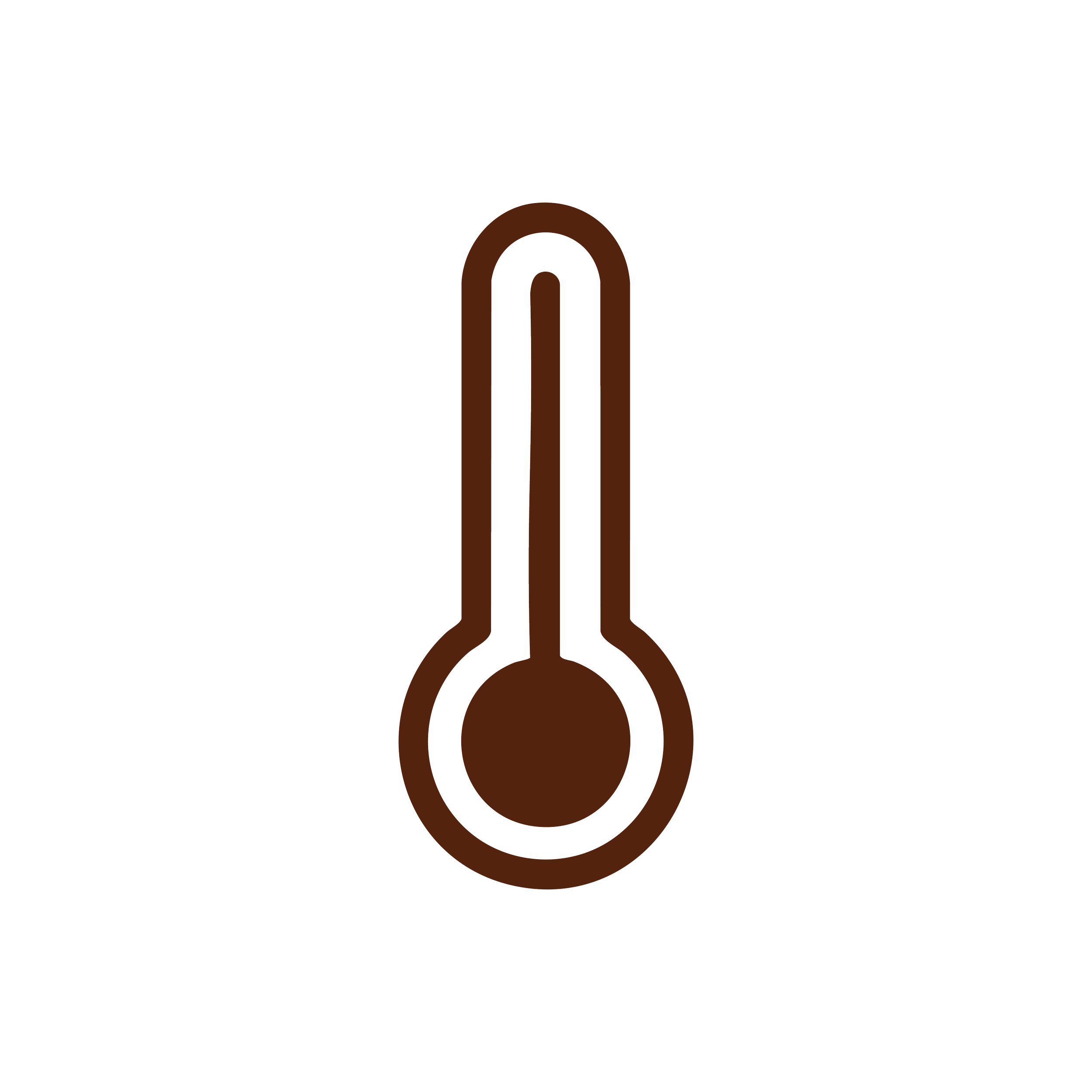 Thermometer icon indicating high temperature
