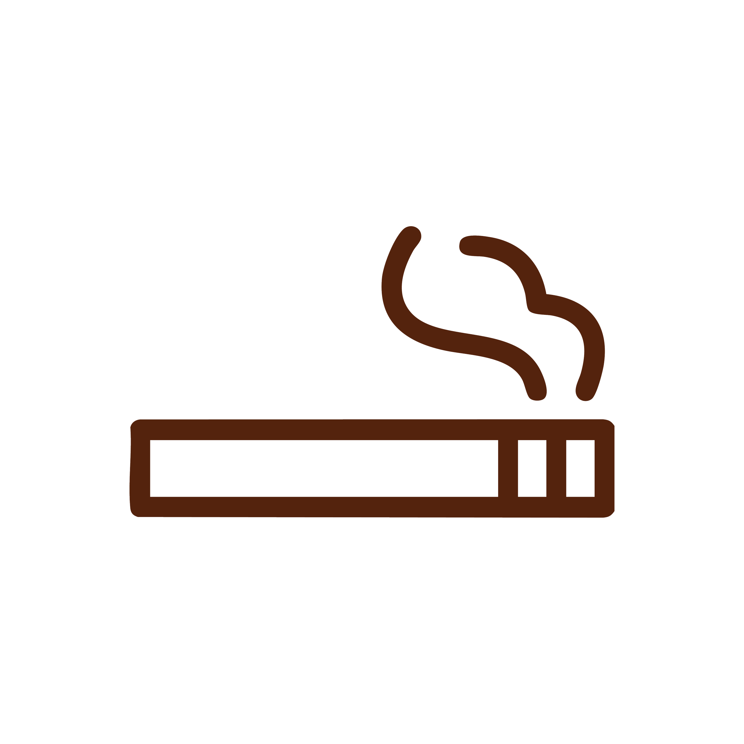 Simple black line drawing of a brown cigarette with two wavy smoke lines coming out of it.