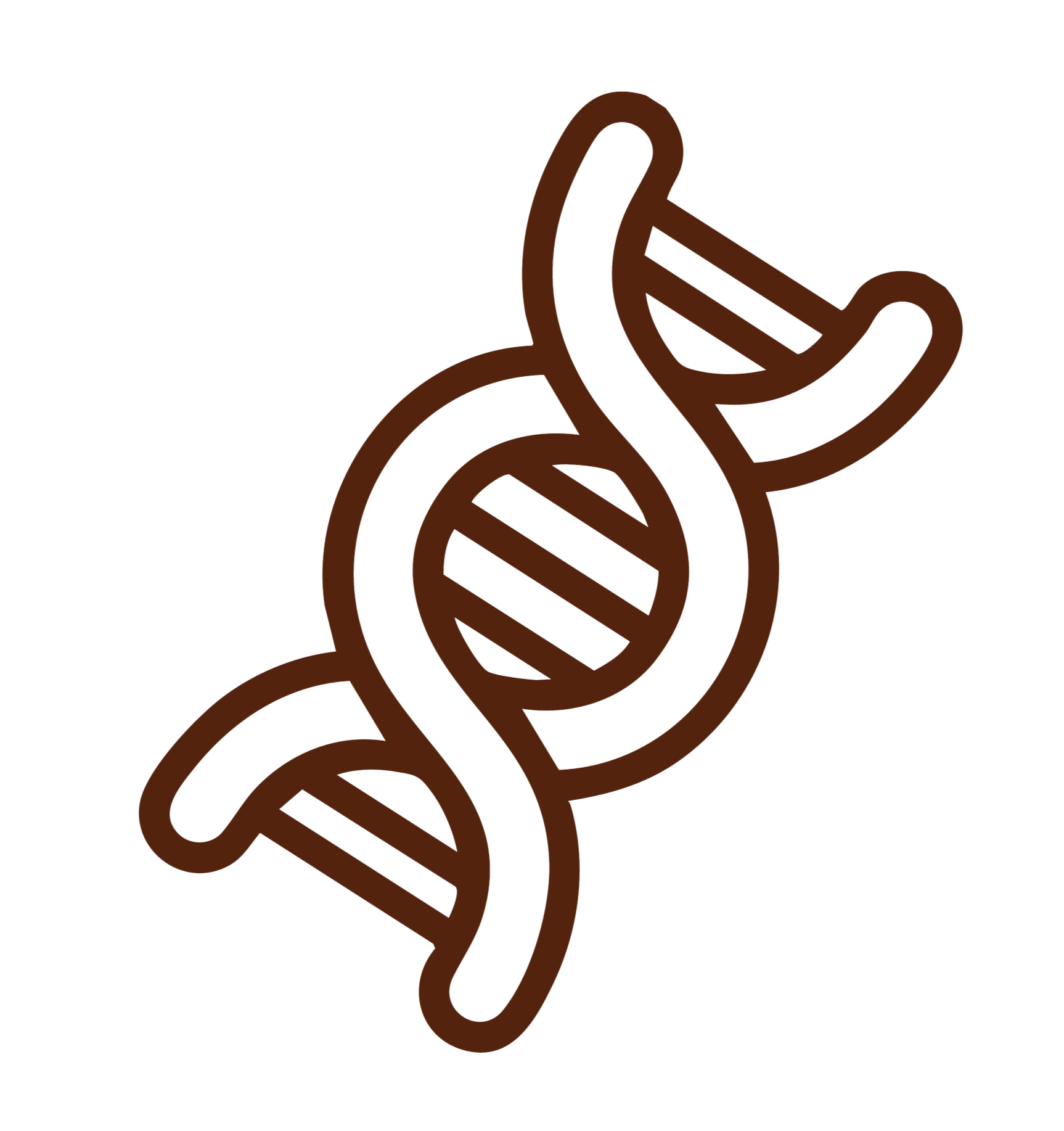 Outline of a DNA double helix strand in brown.