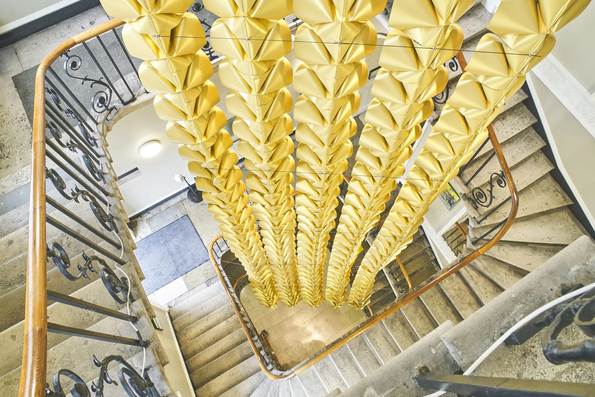 FungandBedford_Gathering_2022_05.jpg 2.jpg