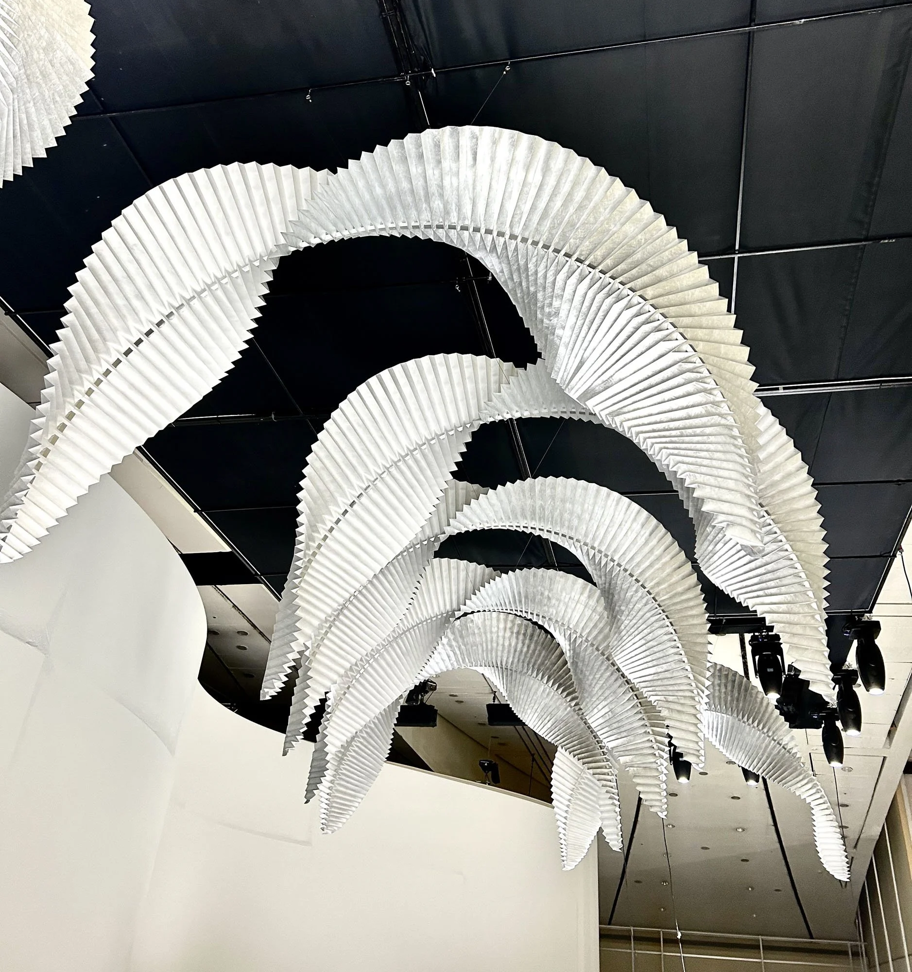 Fungandbedford_Private Event _2024_15.jpg.jpg