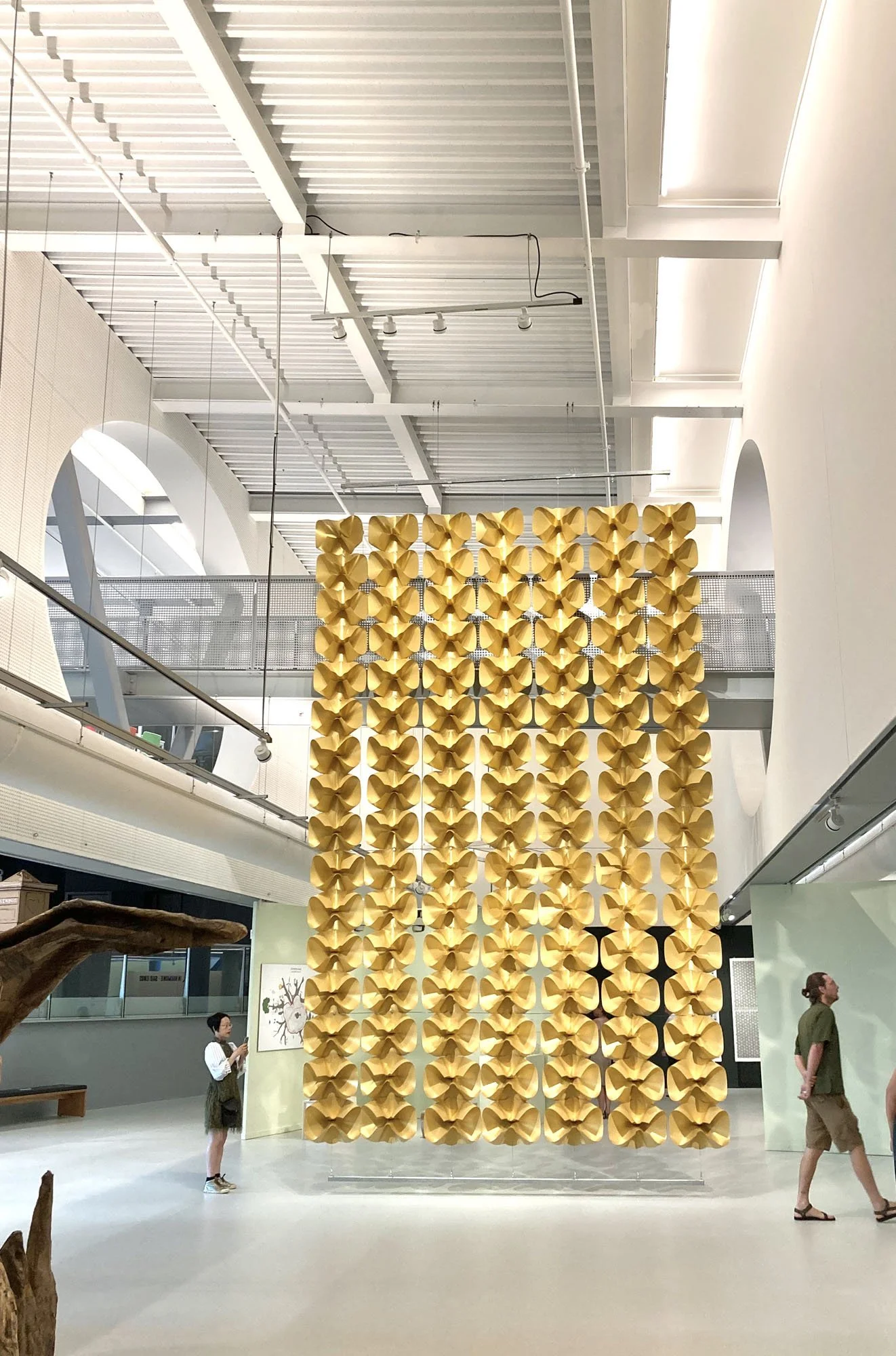 Fungandbedford_CODA_2023_8.jpg 2.jpg