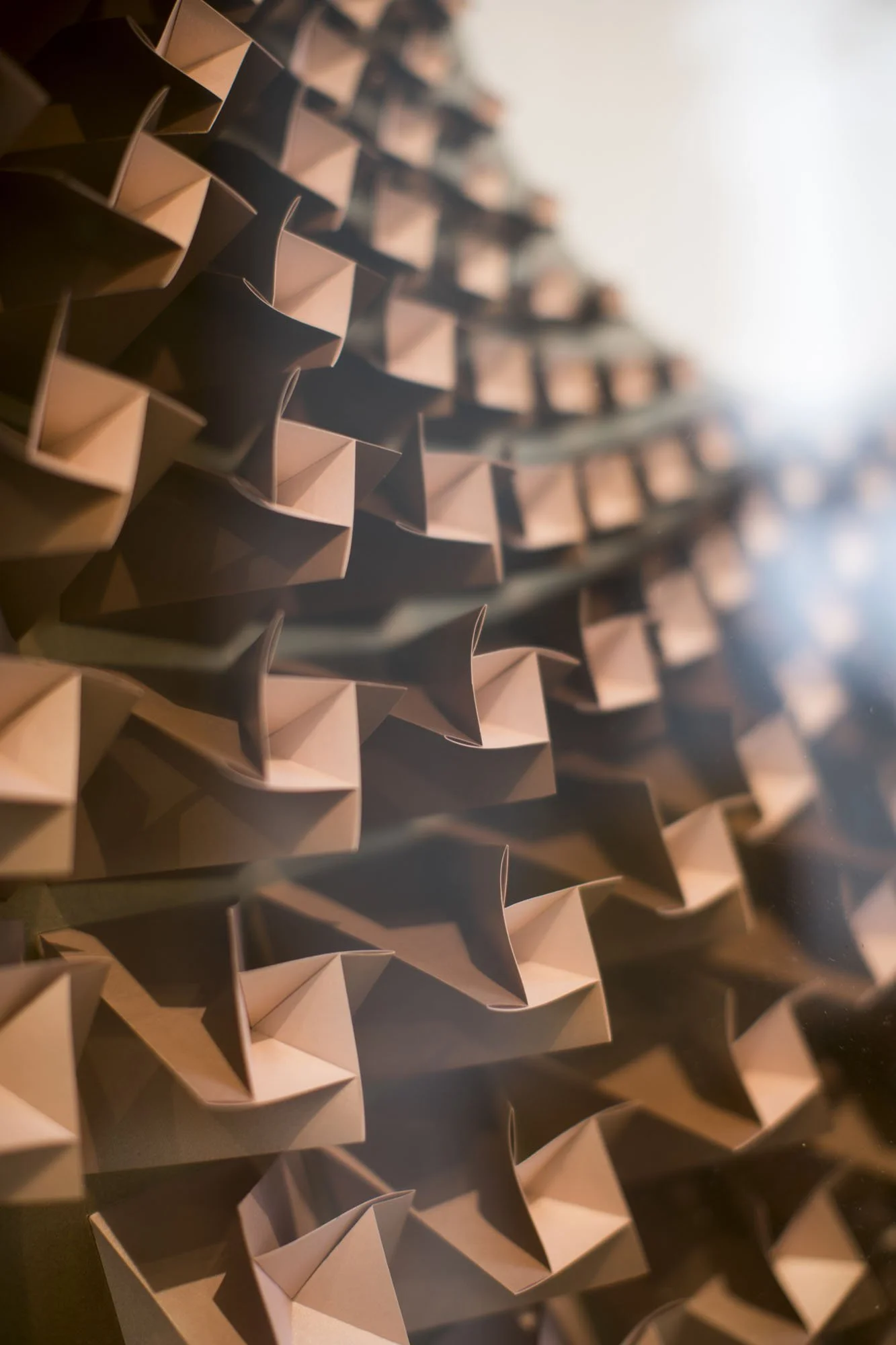 FungandBedford_Close ups_06.jpg.jpg