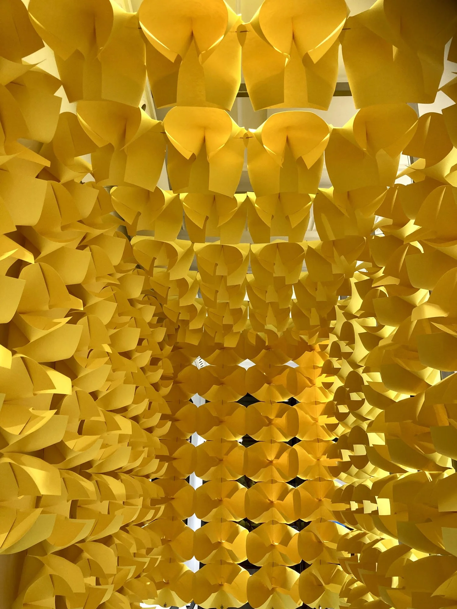 Fungandbedford_Onitsuka Tiger_2023_13.jpg.jpg