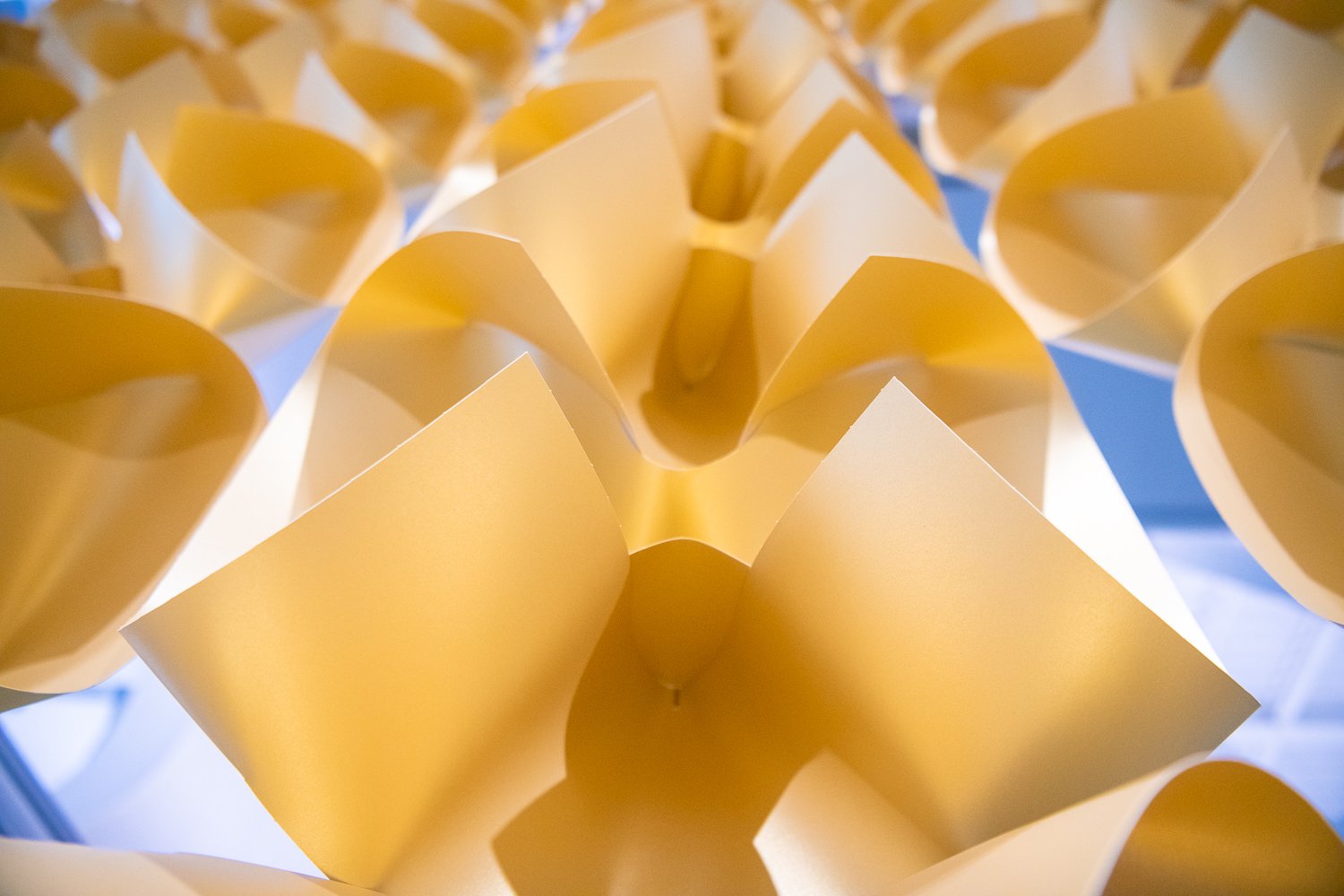 CODA Museum + Gathering 2.0
