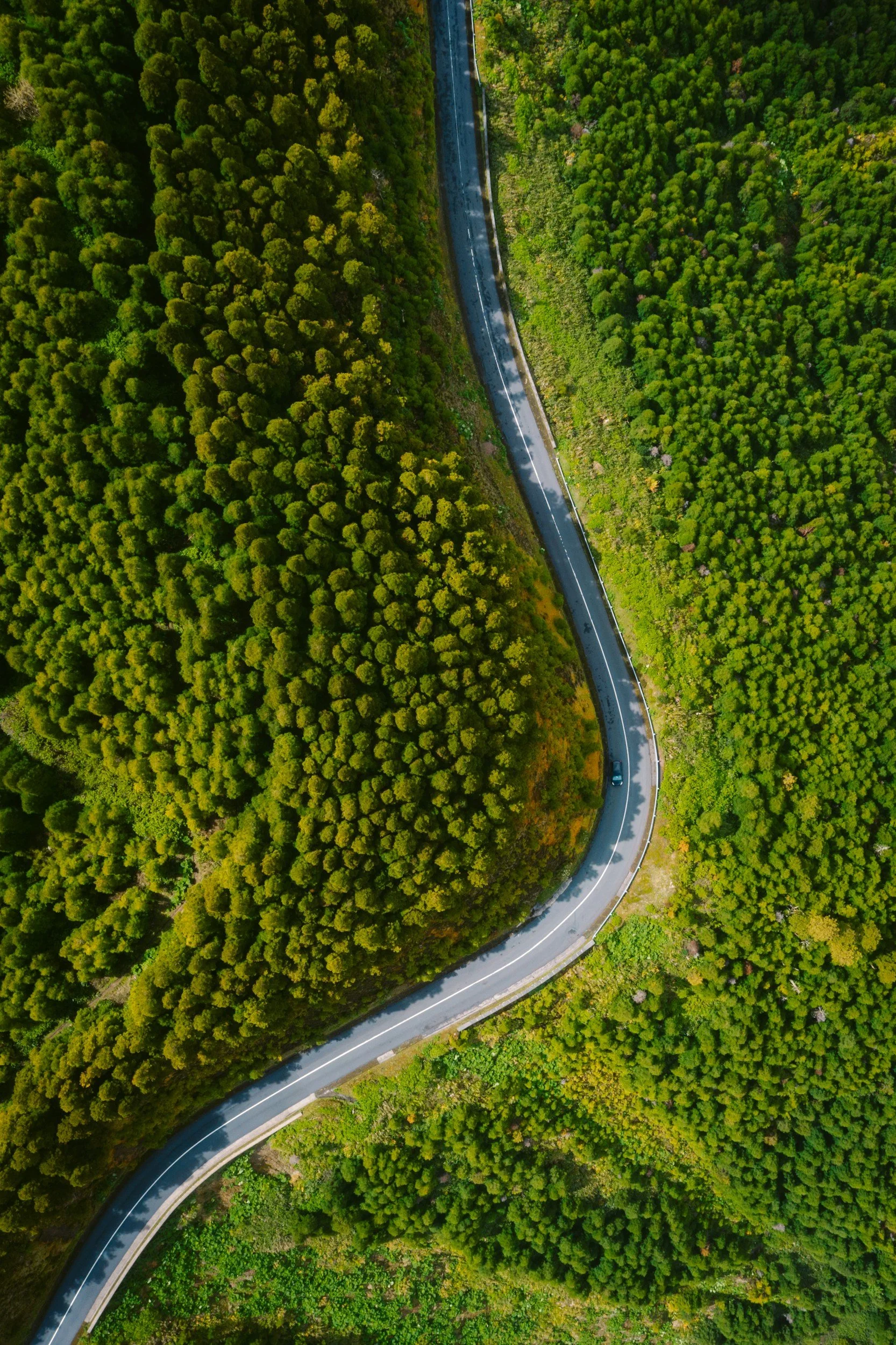An aerial view of a winding road passing through a dense green forest.
