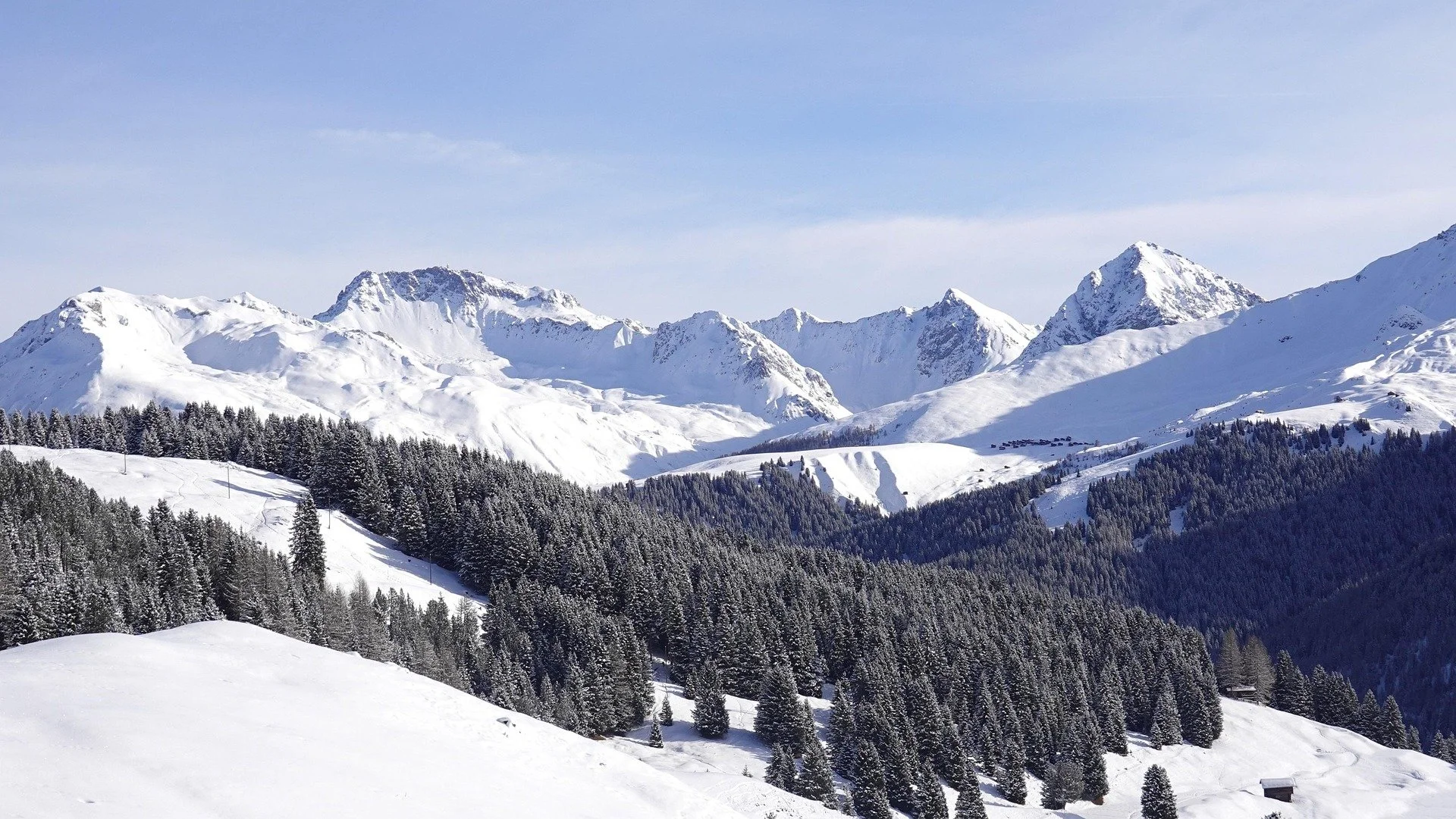 Snow-covered mountain landscape with pine trees in the foreground and clear blue sky.