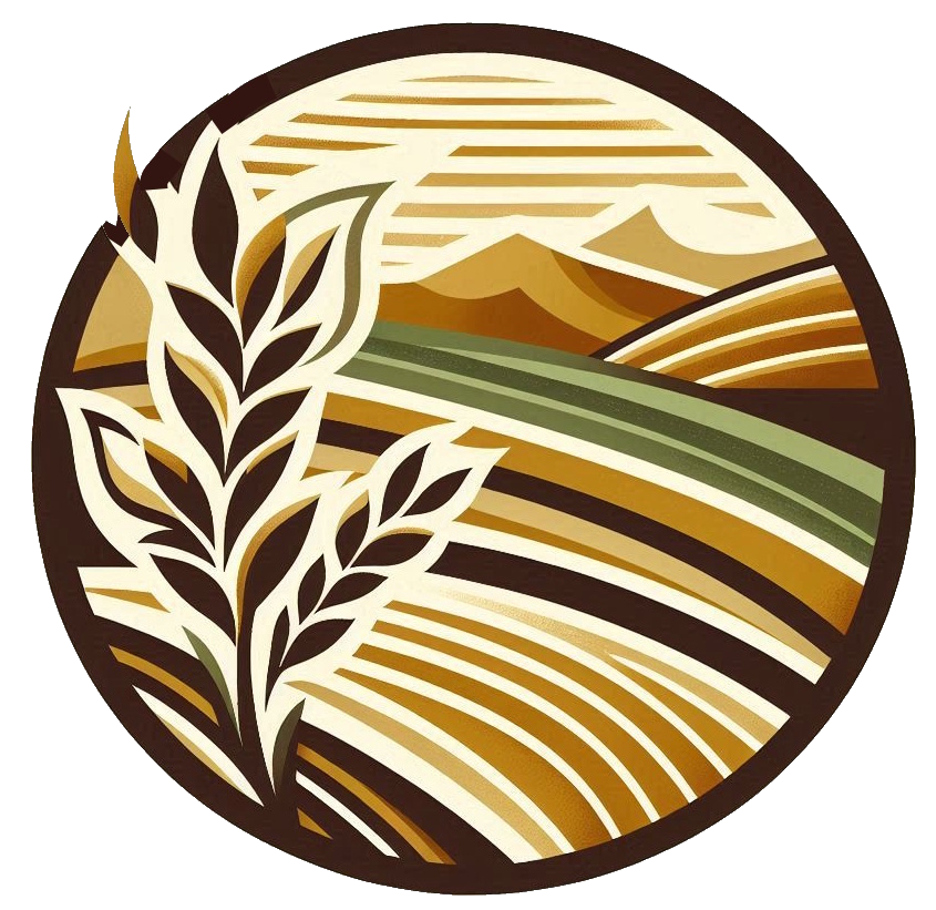 Ar'ah - hands-on history of the land of Israel